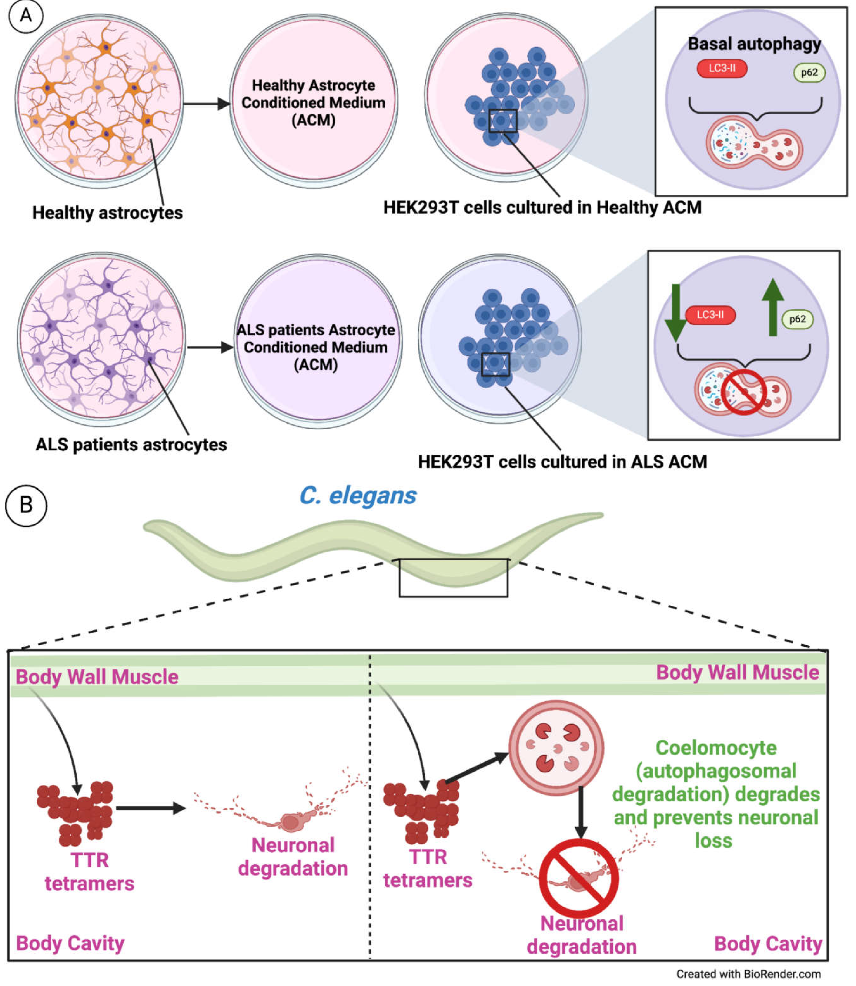 Preprints 102742 g006