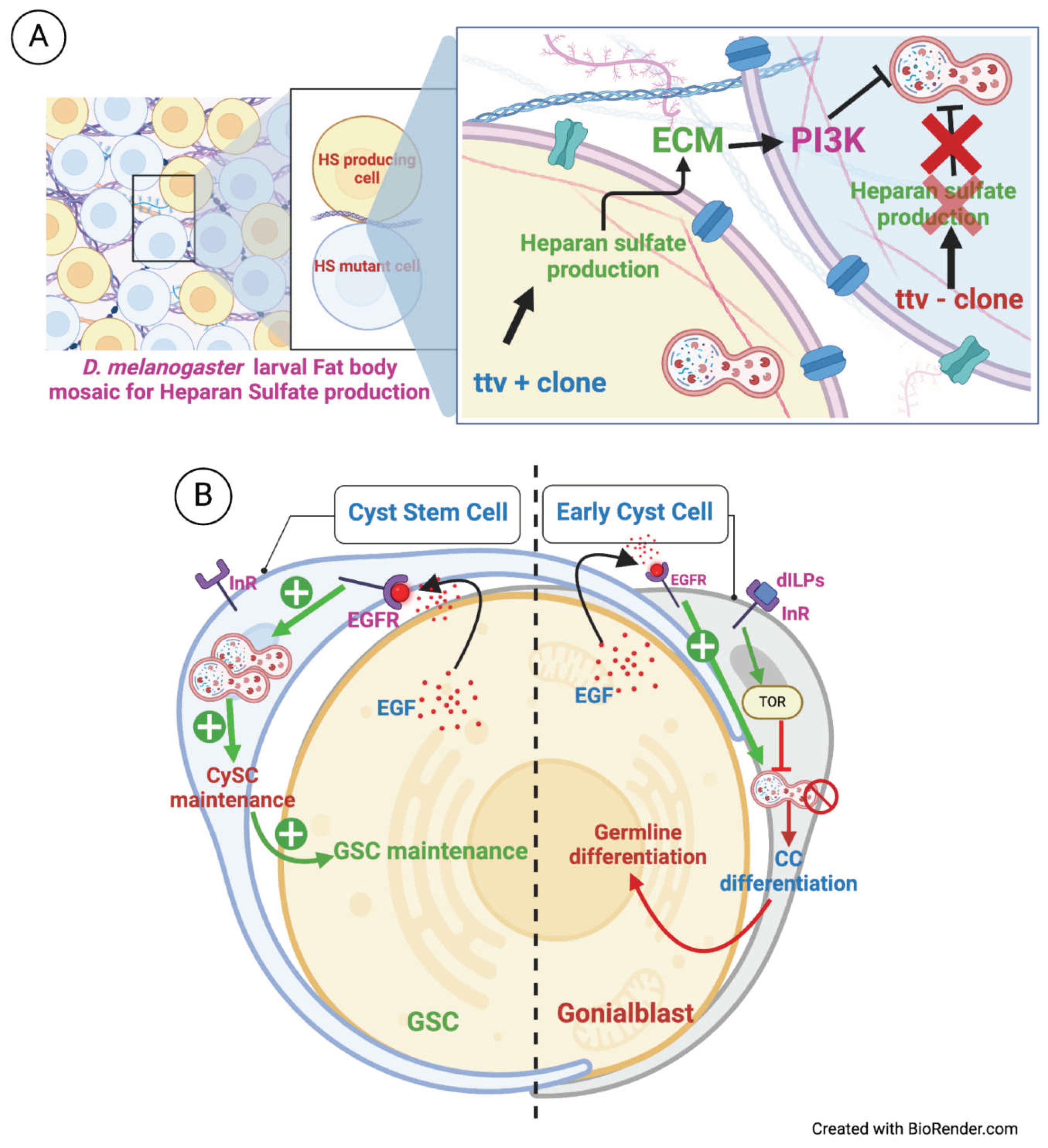 Preprints 102742 g008