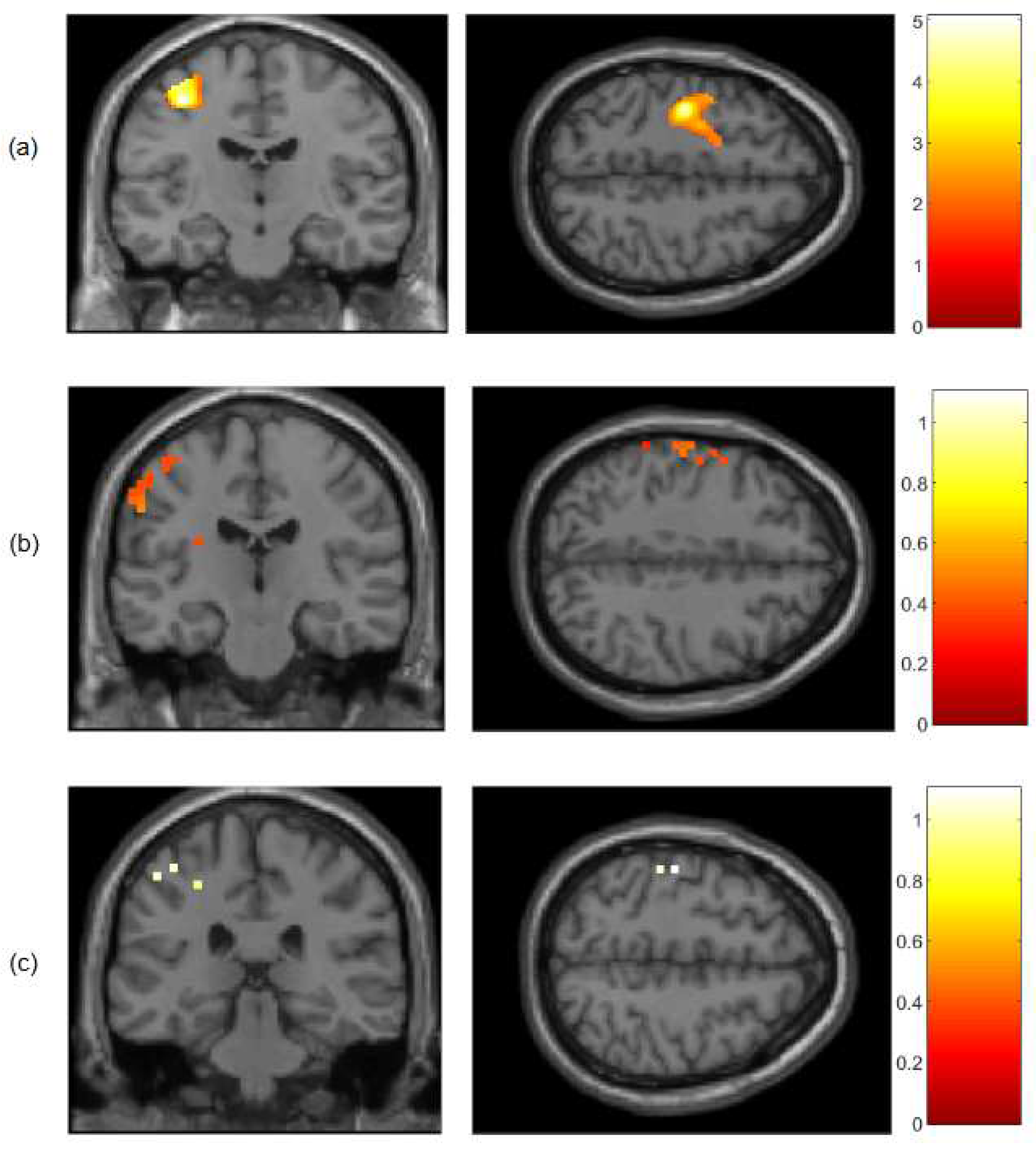 Preprints 85167 g002