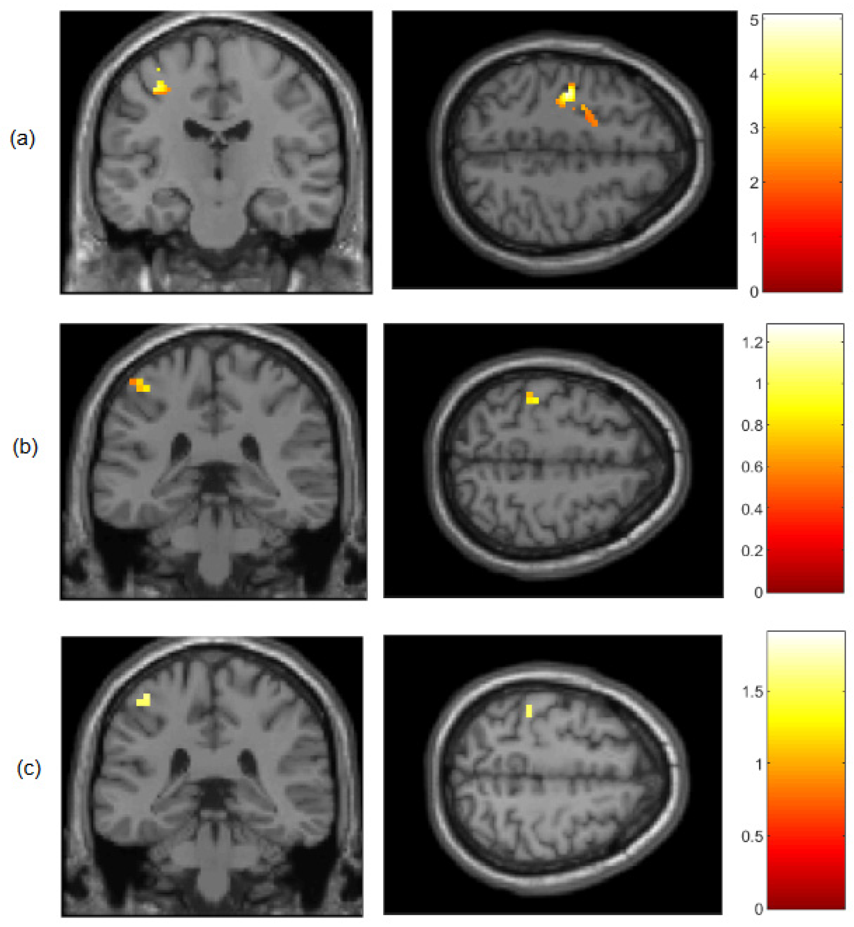 Preprints 85167 g003