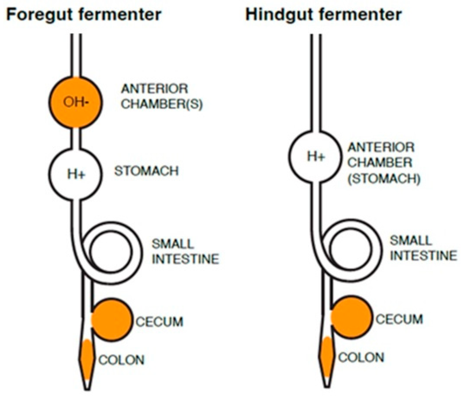 Preprints 89050 g001