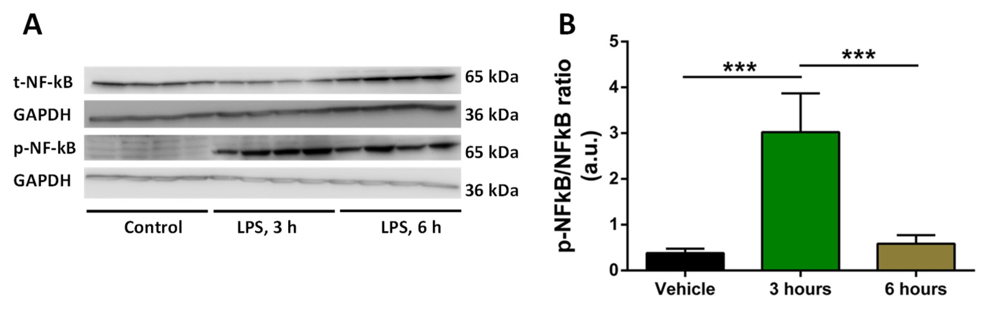 Preprints 74189 g001