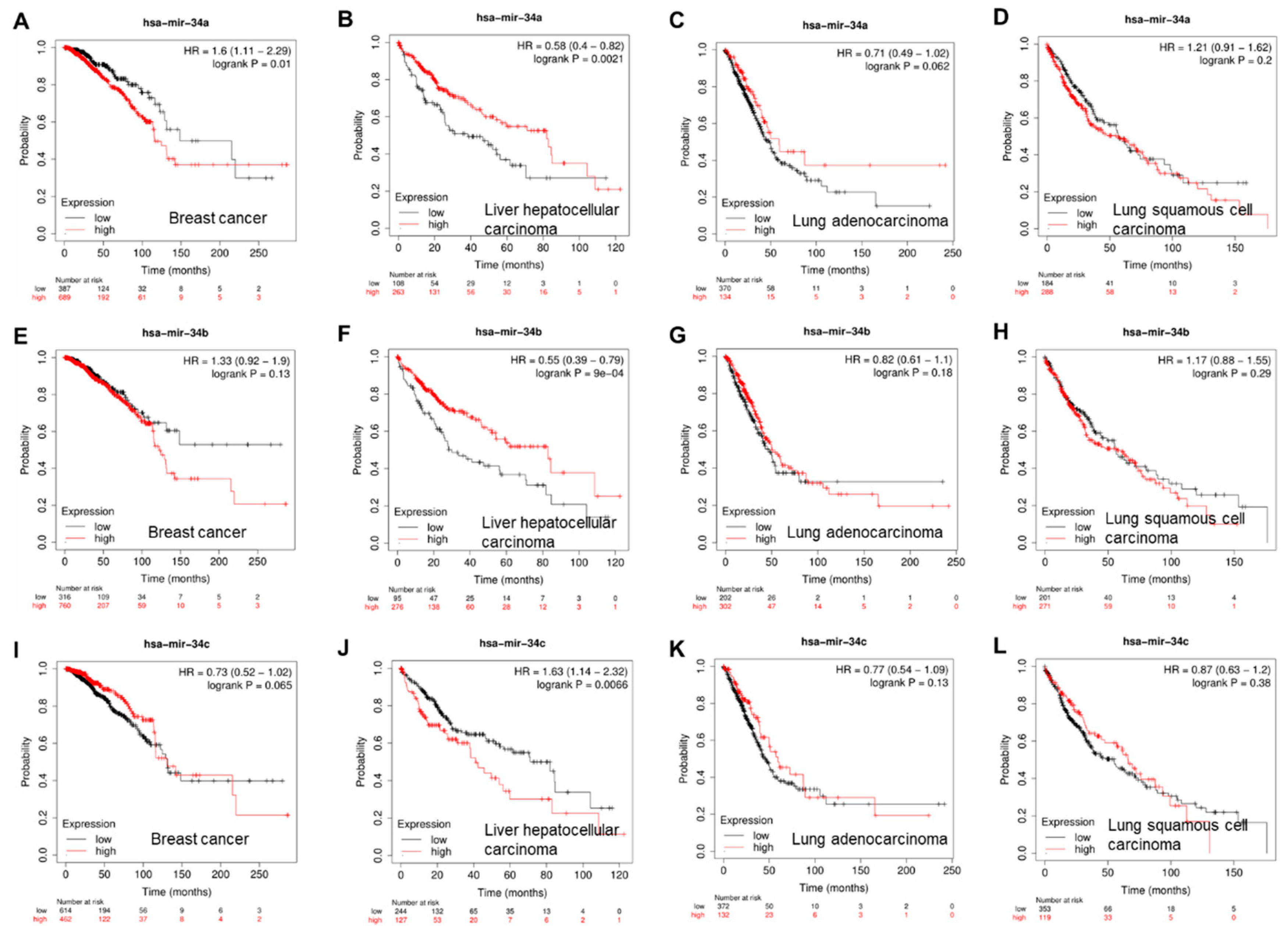 Preprints 81920 g002