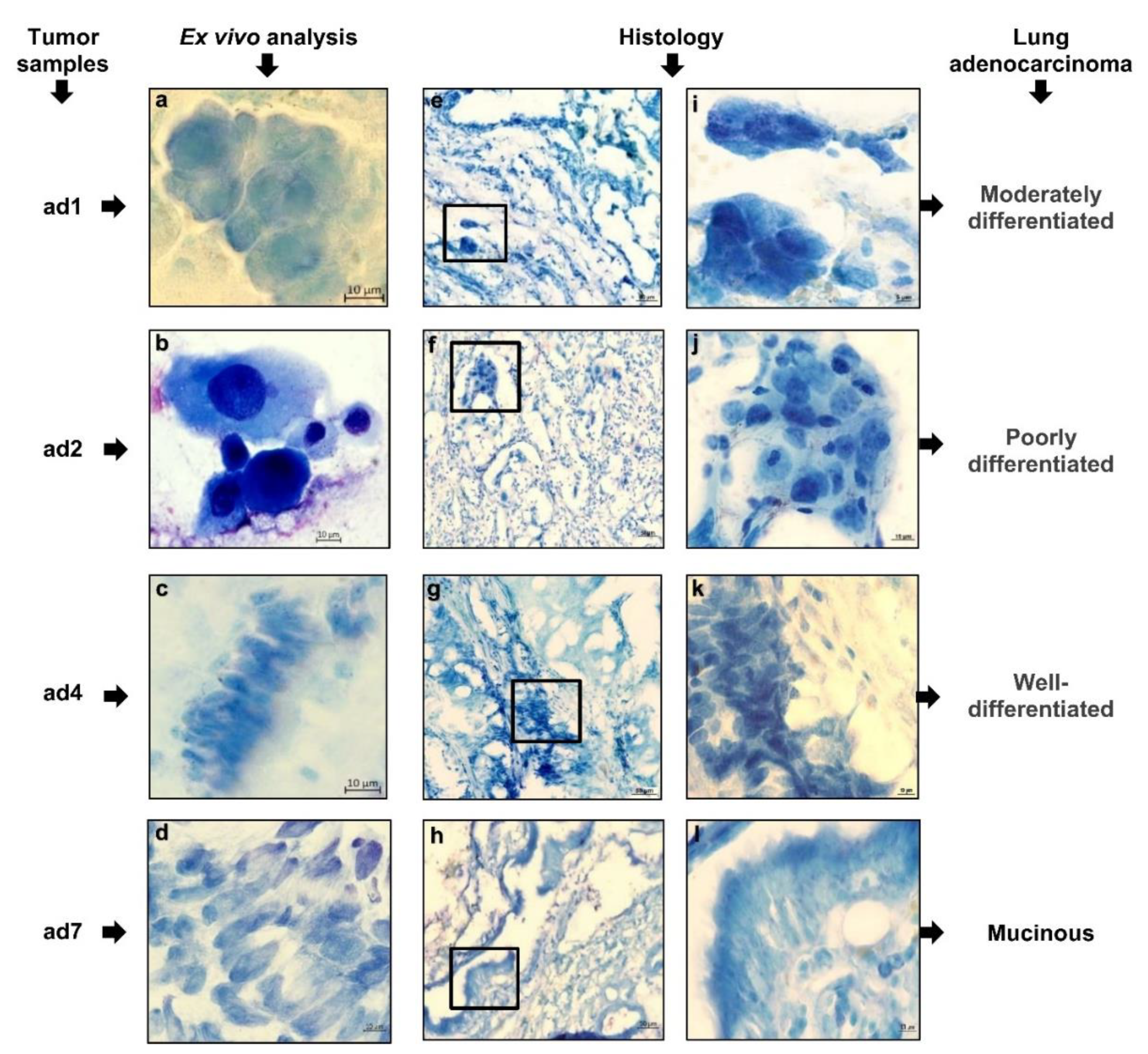 Preprints 108907 g002