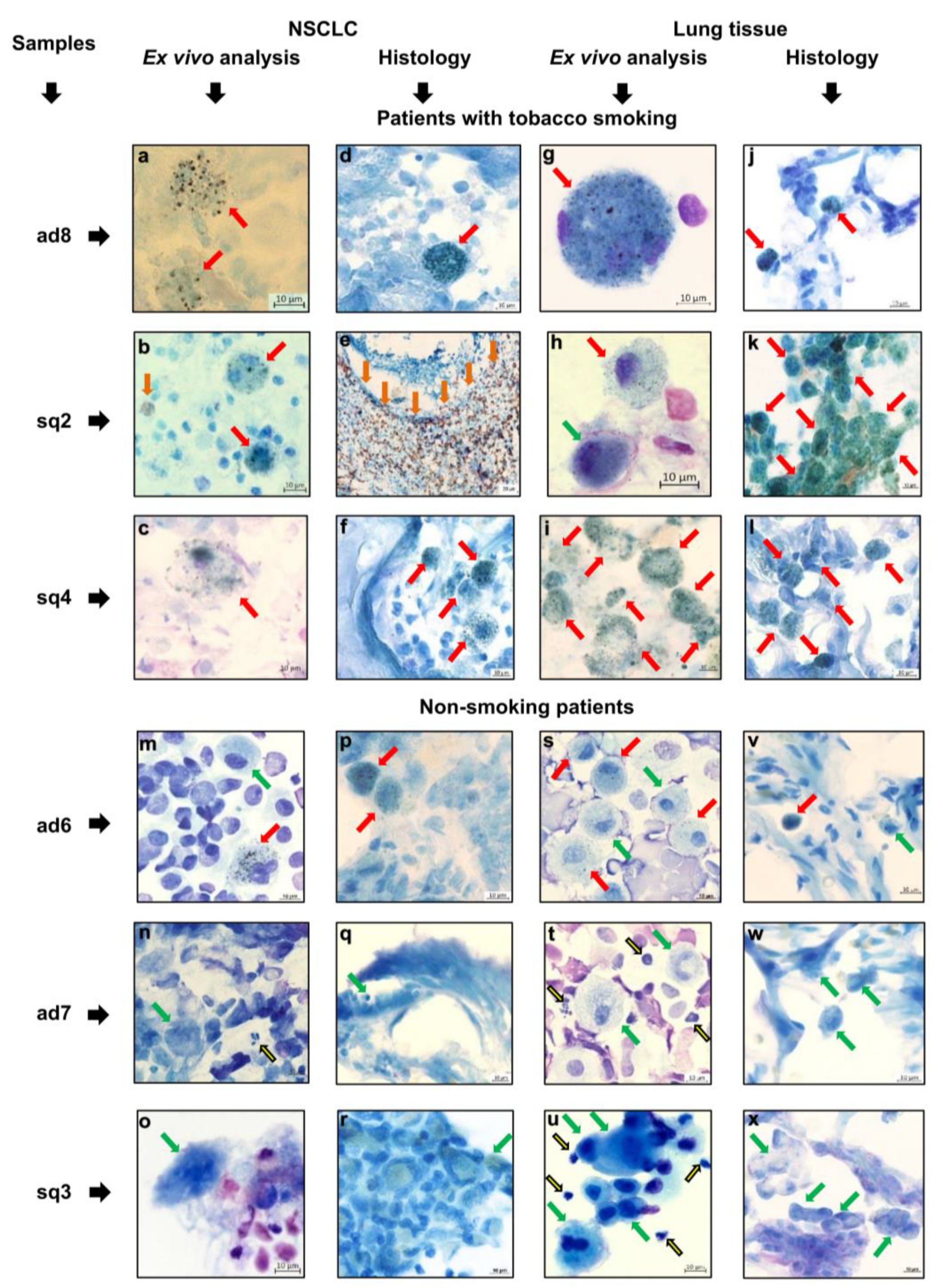 Preprints 108907 g004