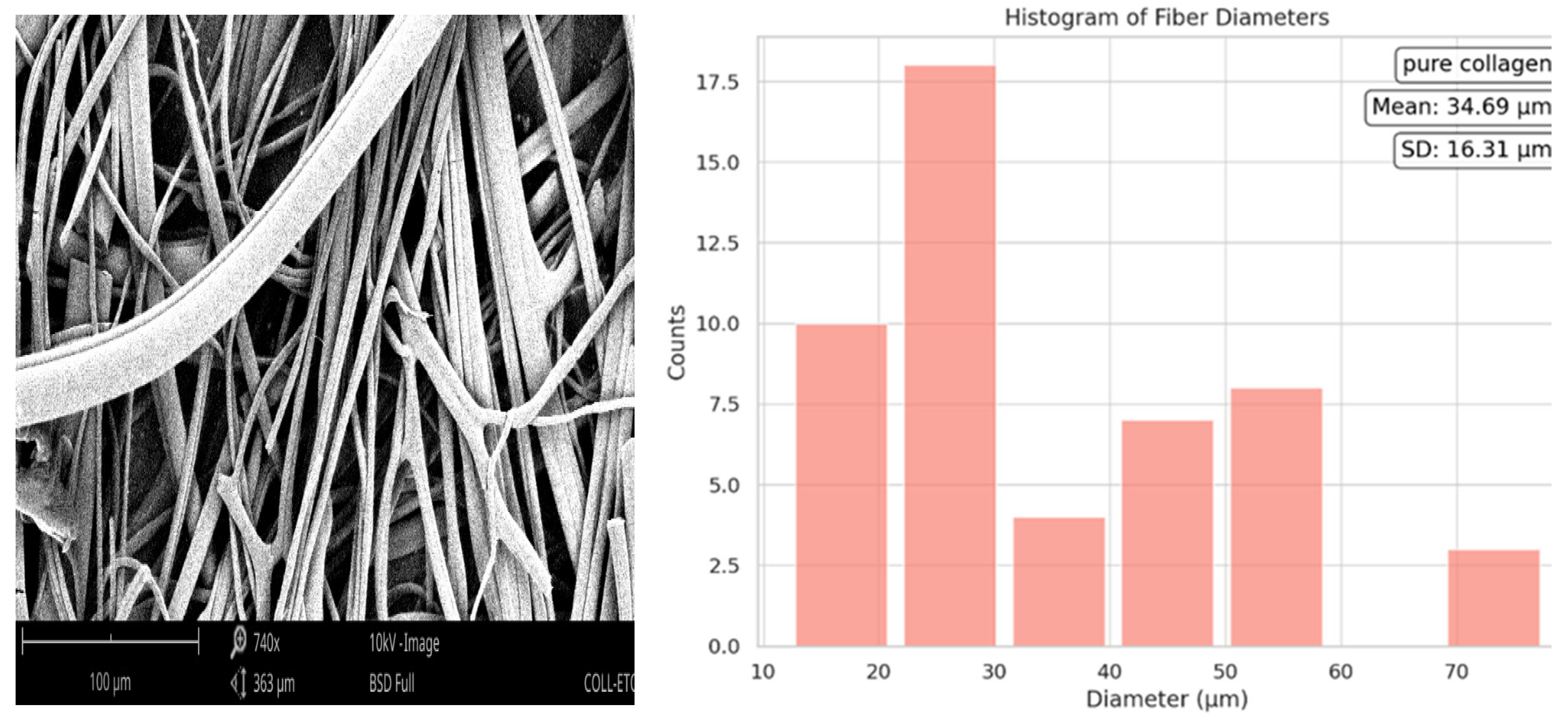 Preprints 94974 g003