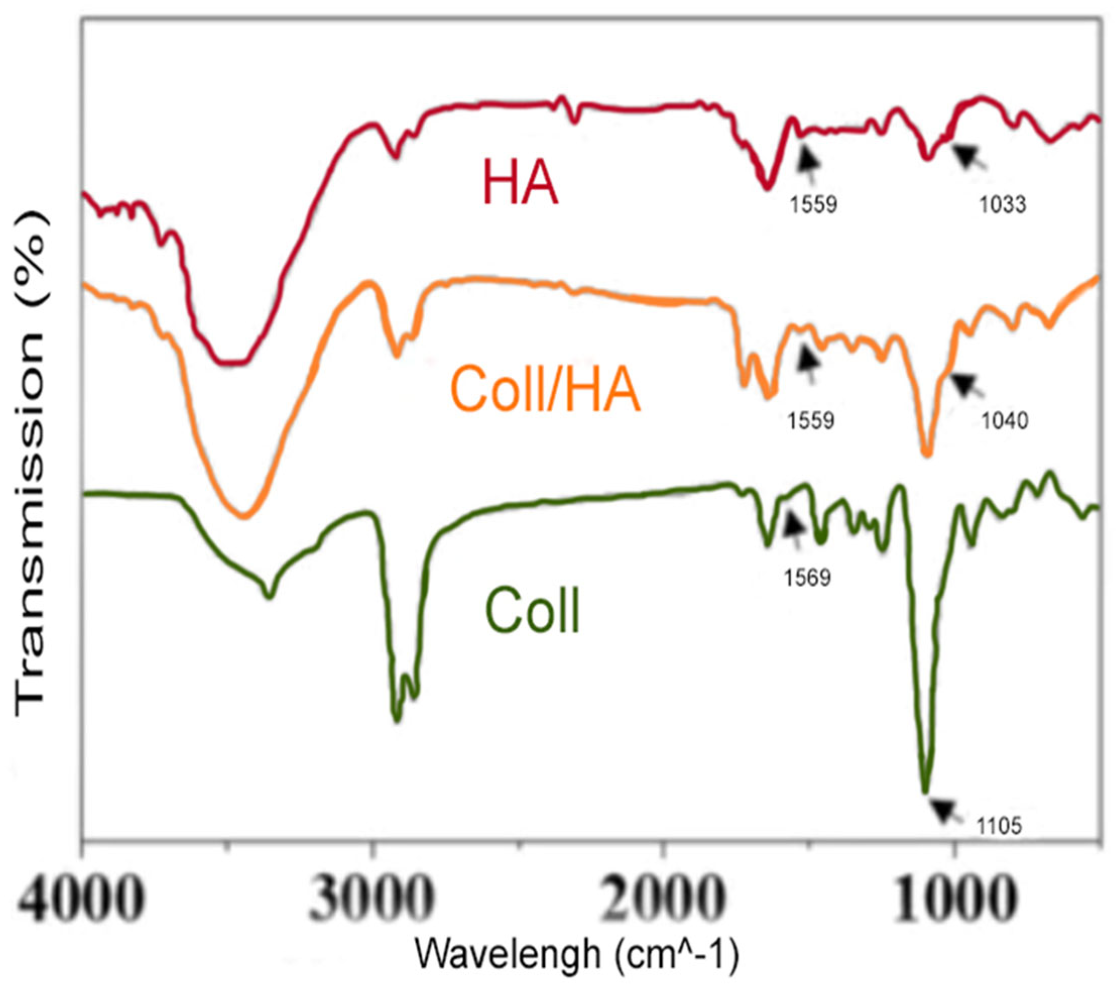 Preprints 94974 g007