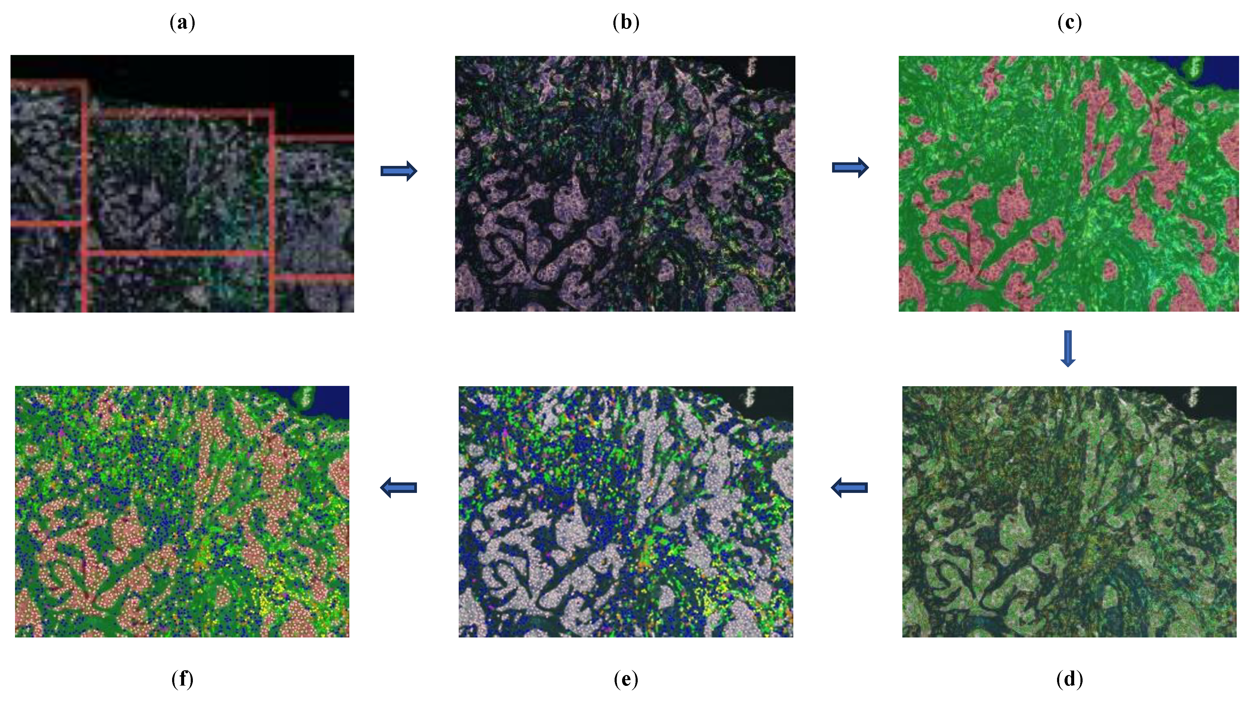 Preprints 108092 g002