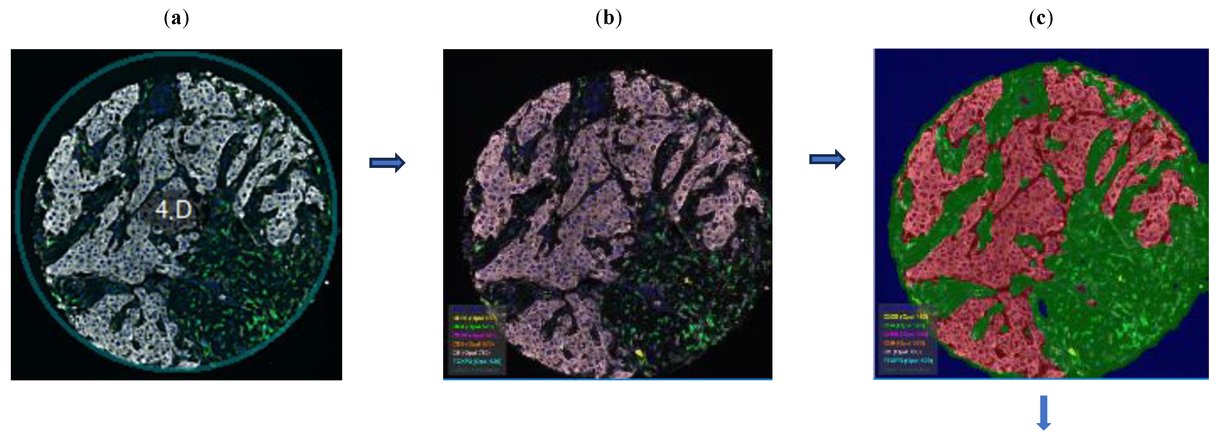 Preprints 108092 g003a