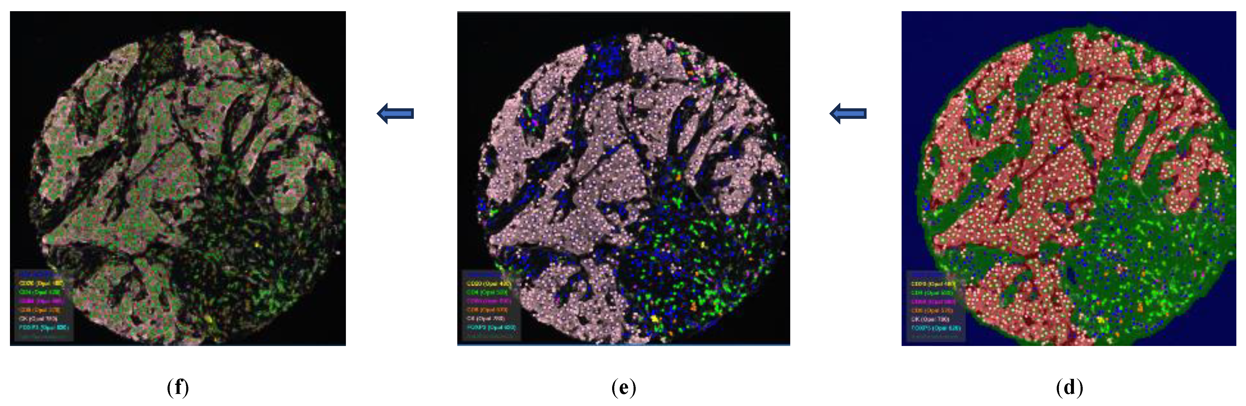 Preprints 108092 g003b