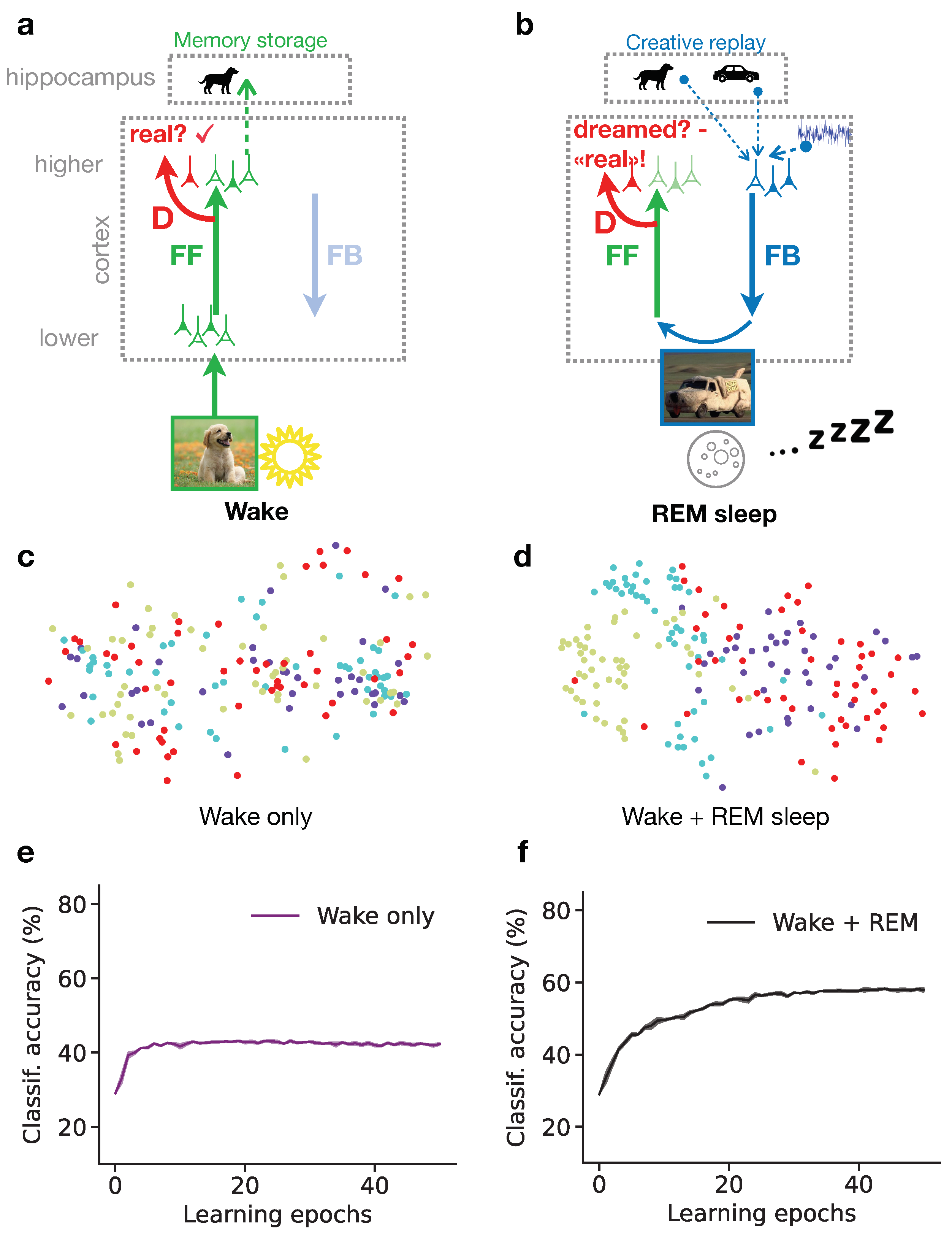 Preprints 106098 g001