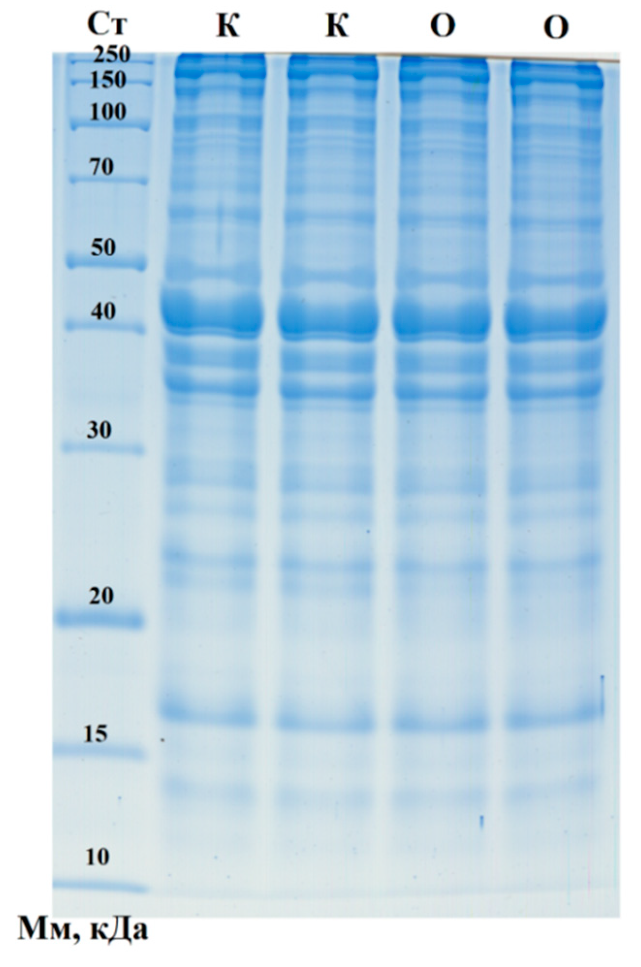 Preprints 120306 g001