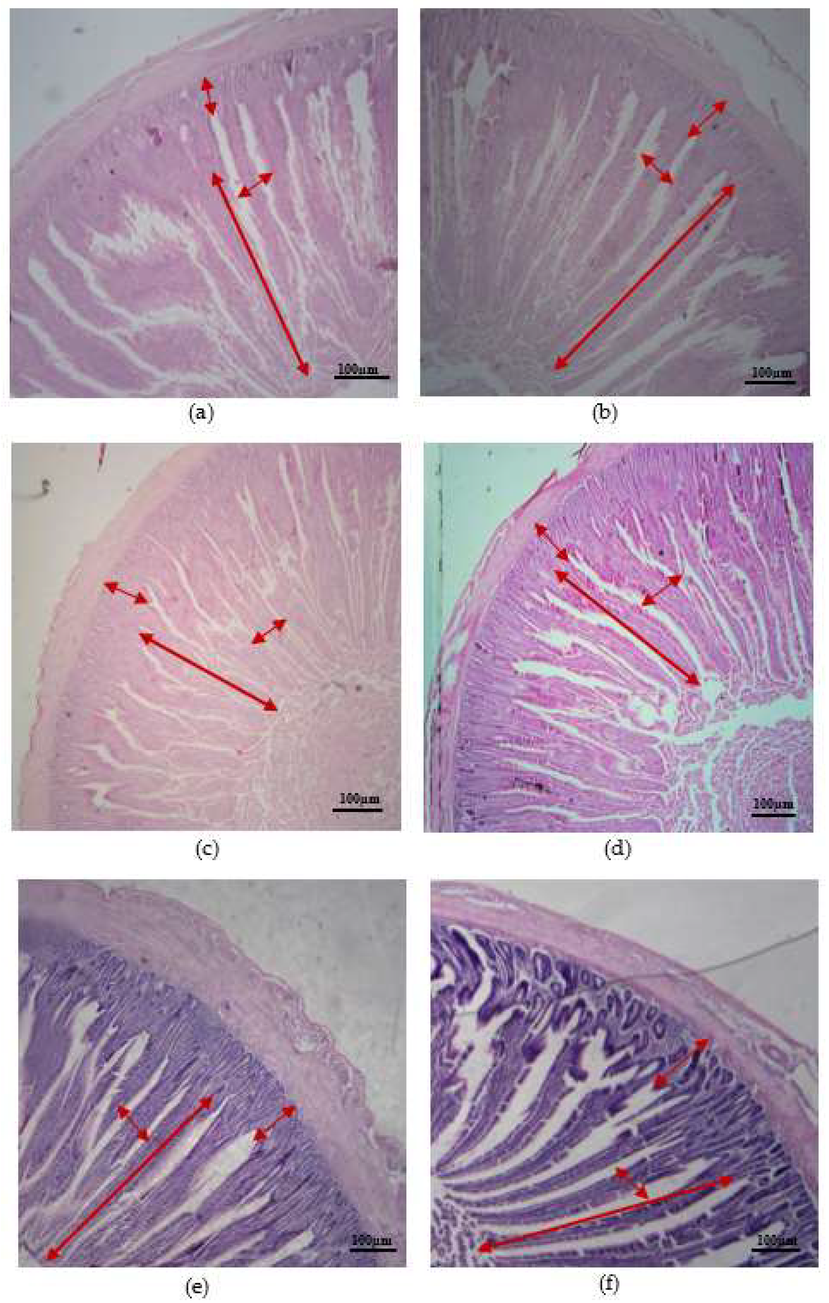 Preprints 120158 g002