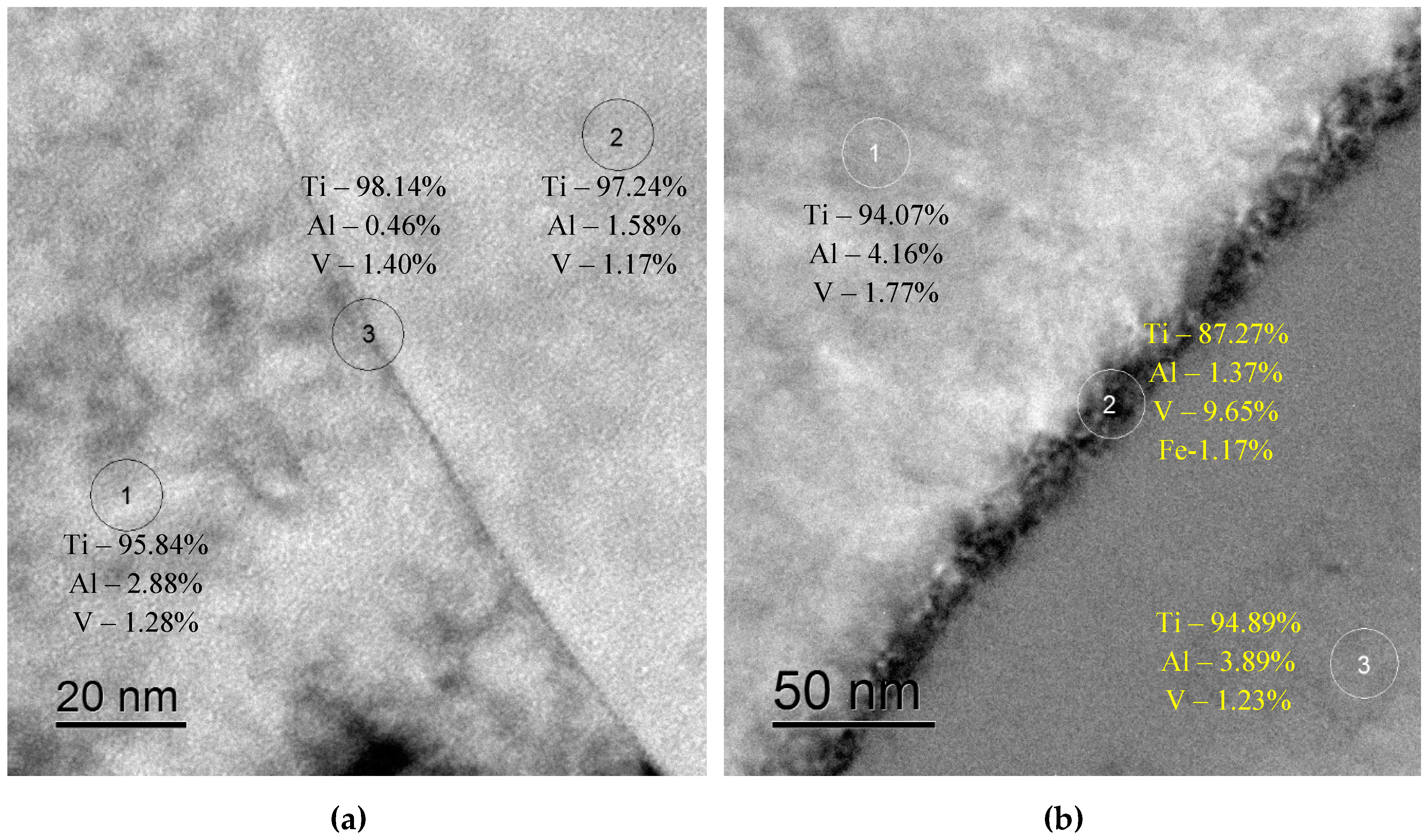 Preprints 67898 g004a