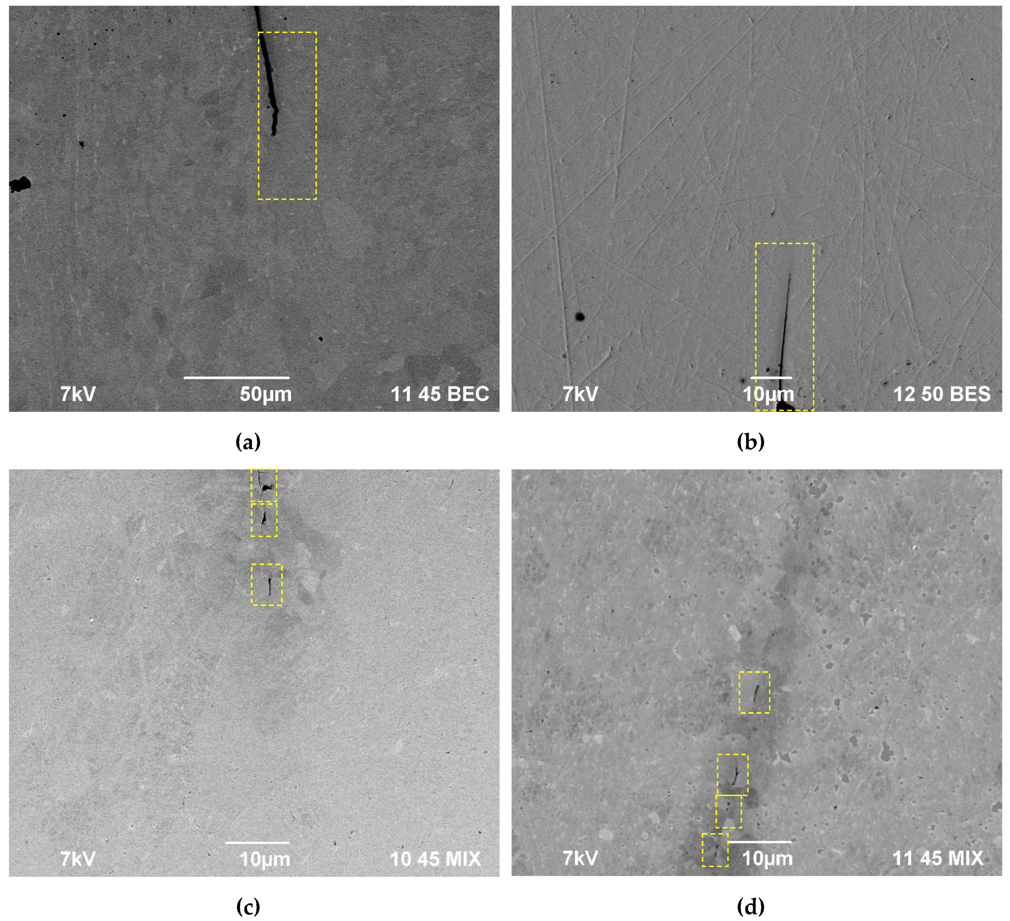 Preprints 67898 g006a