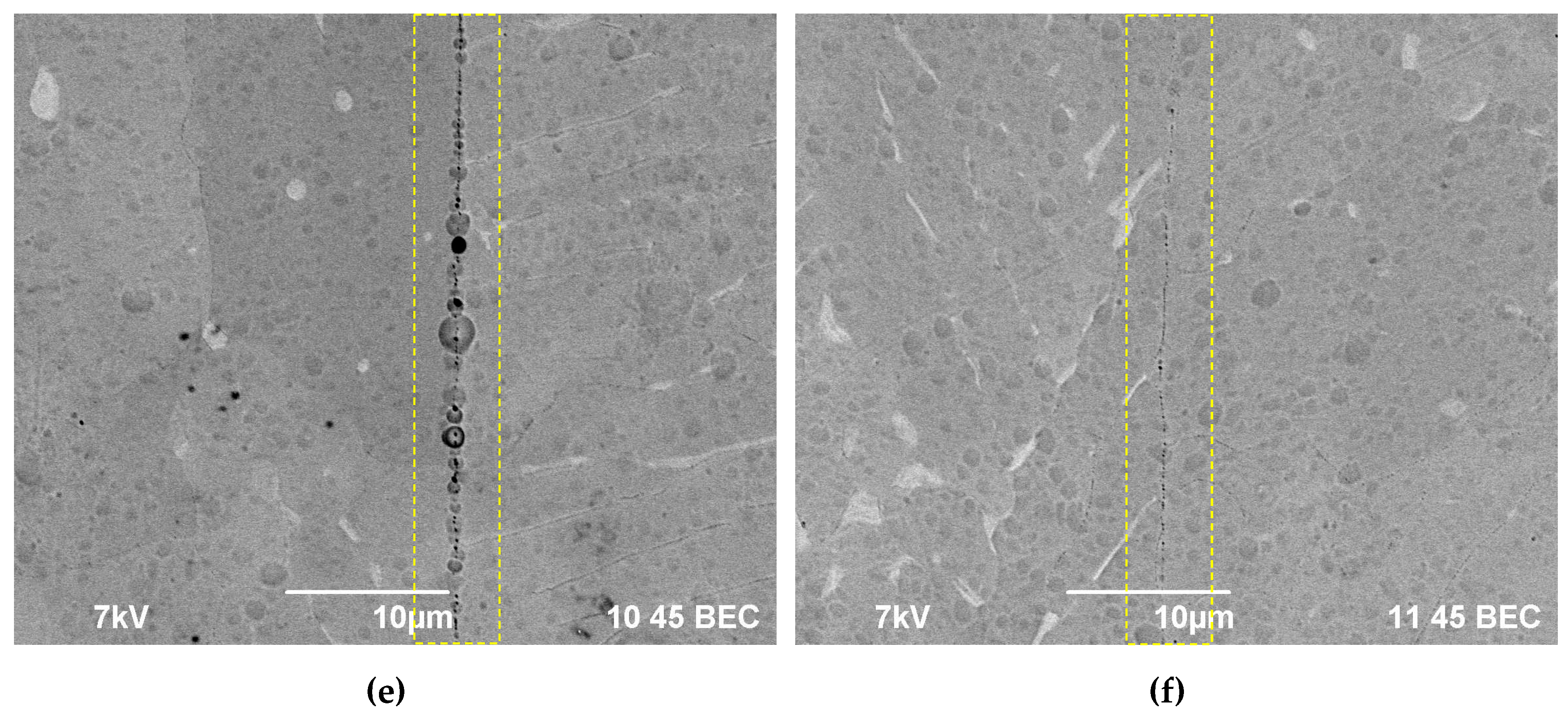 Preprints 67898 g006b