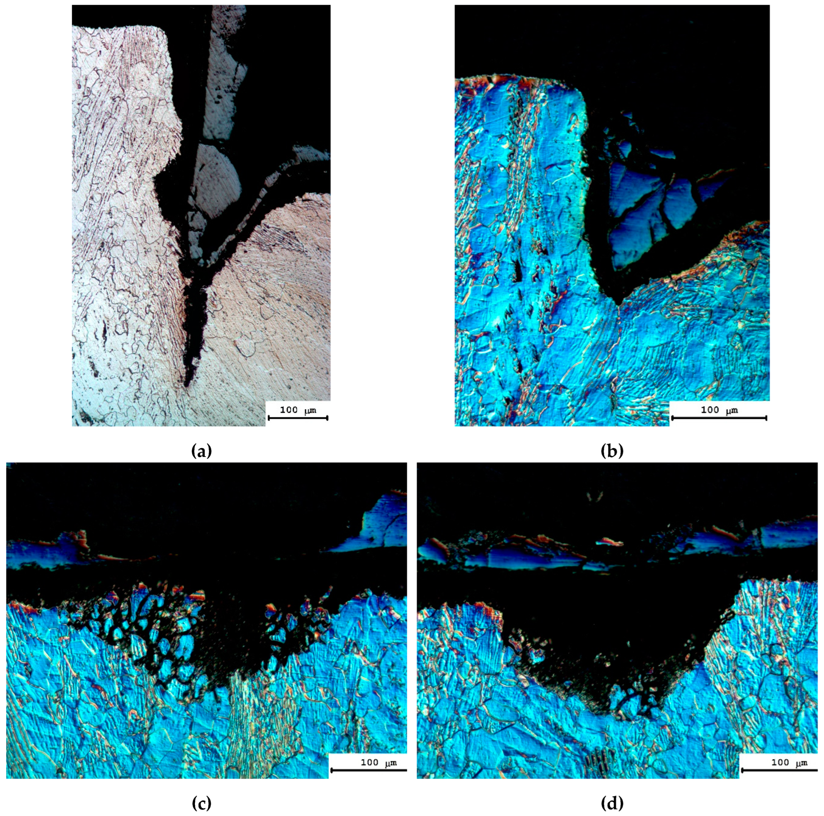 Preprints 67898 g012a