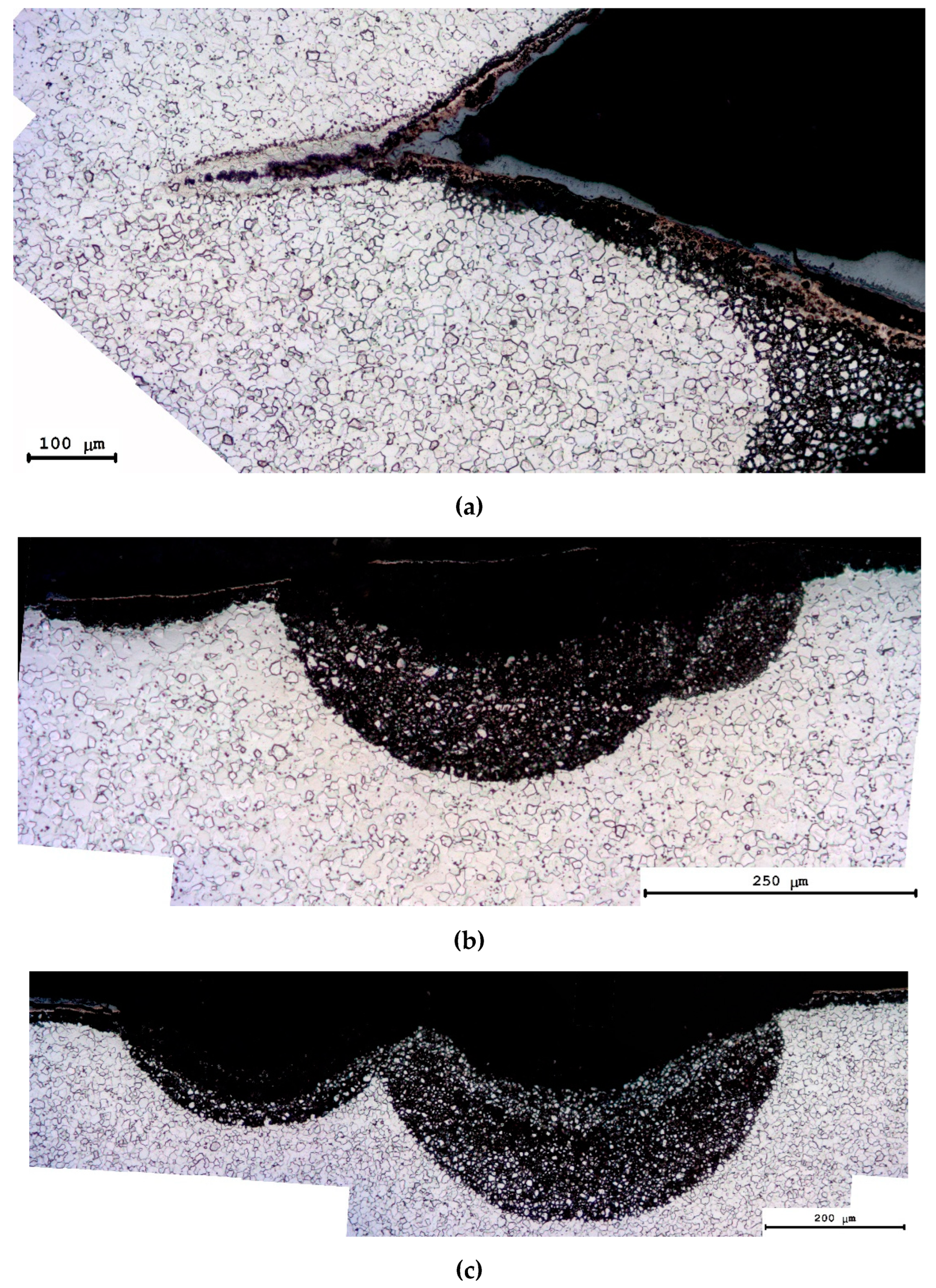 Preprints 67898 g015a