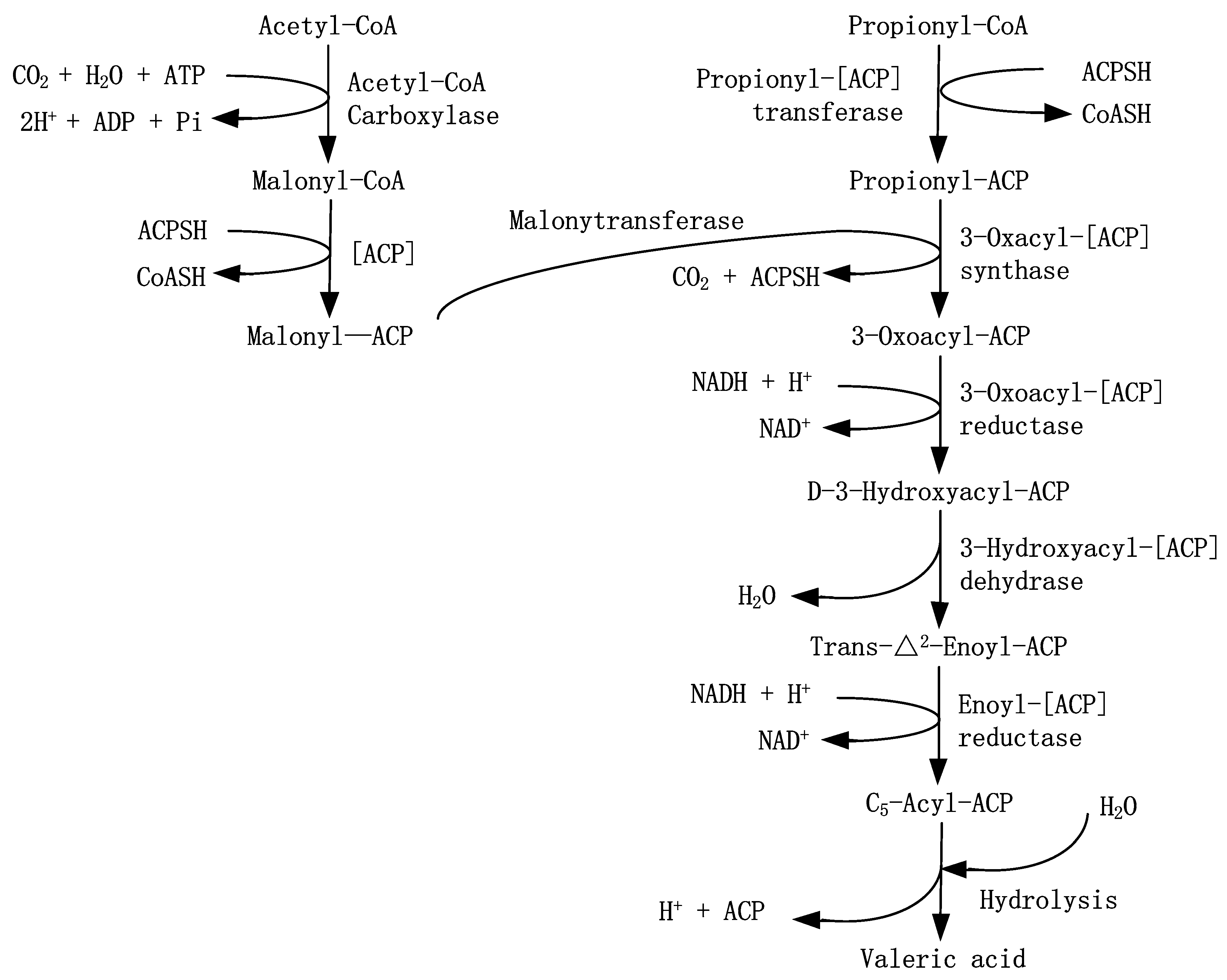 Preprints 79361 g008