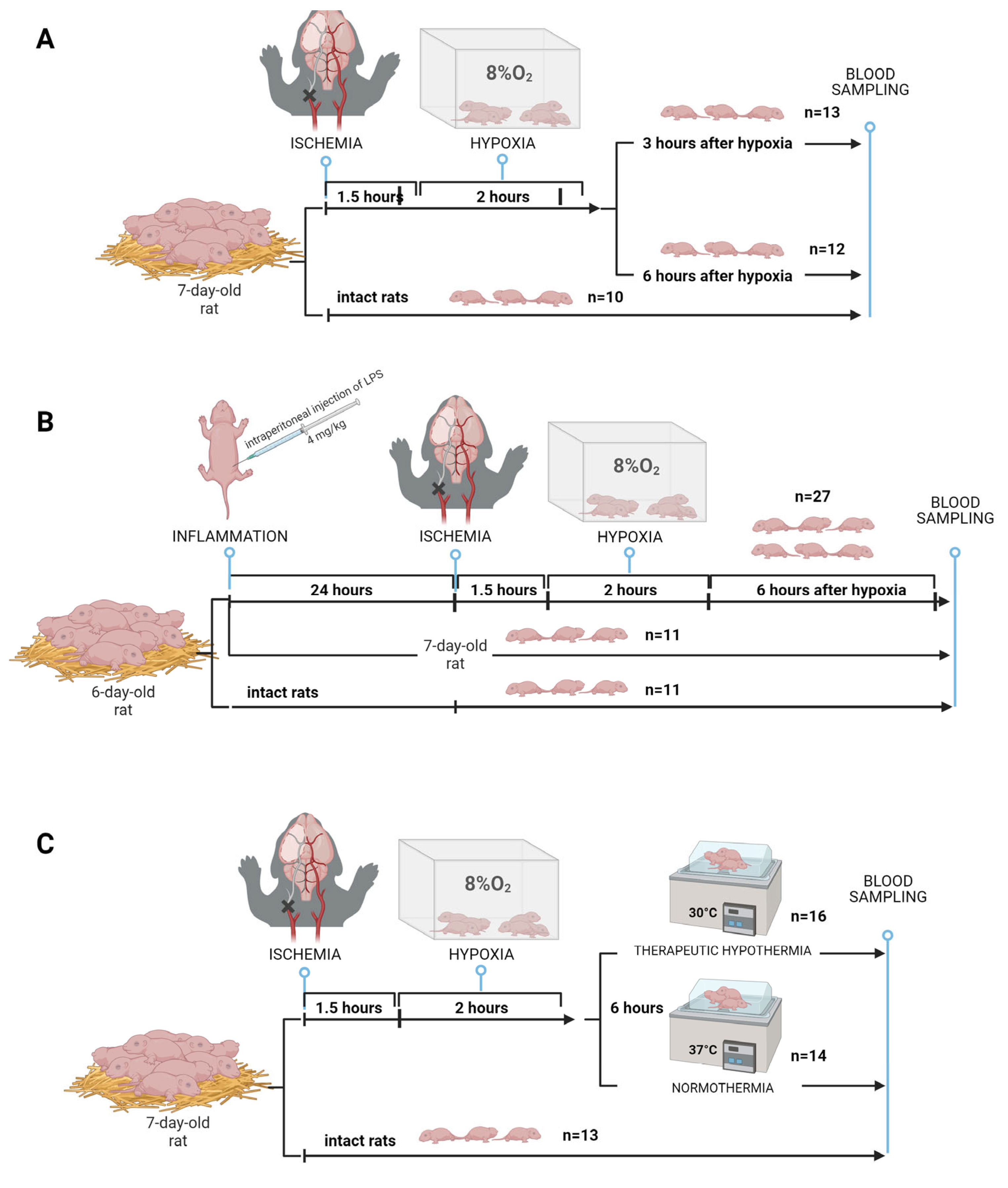 Preprints 92256 g001