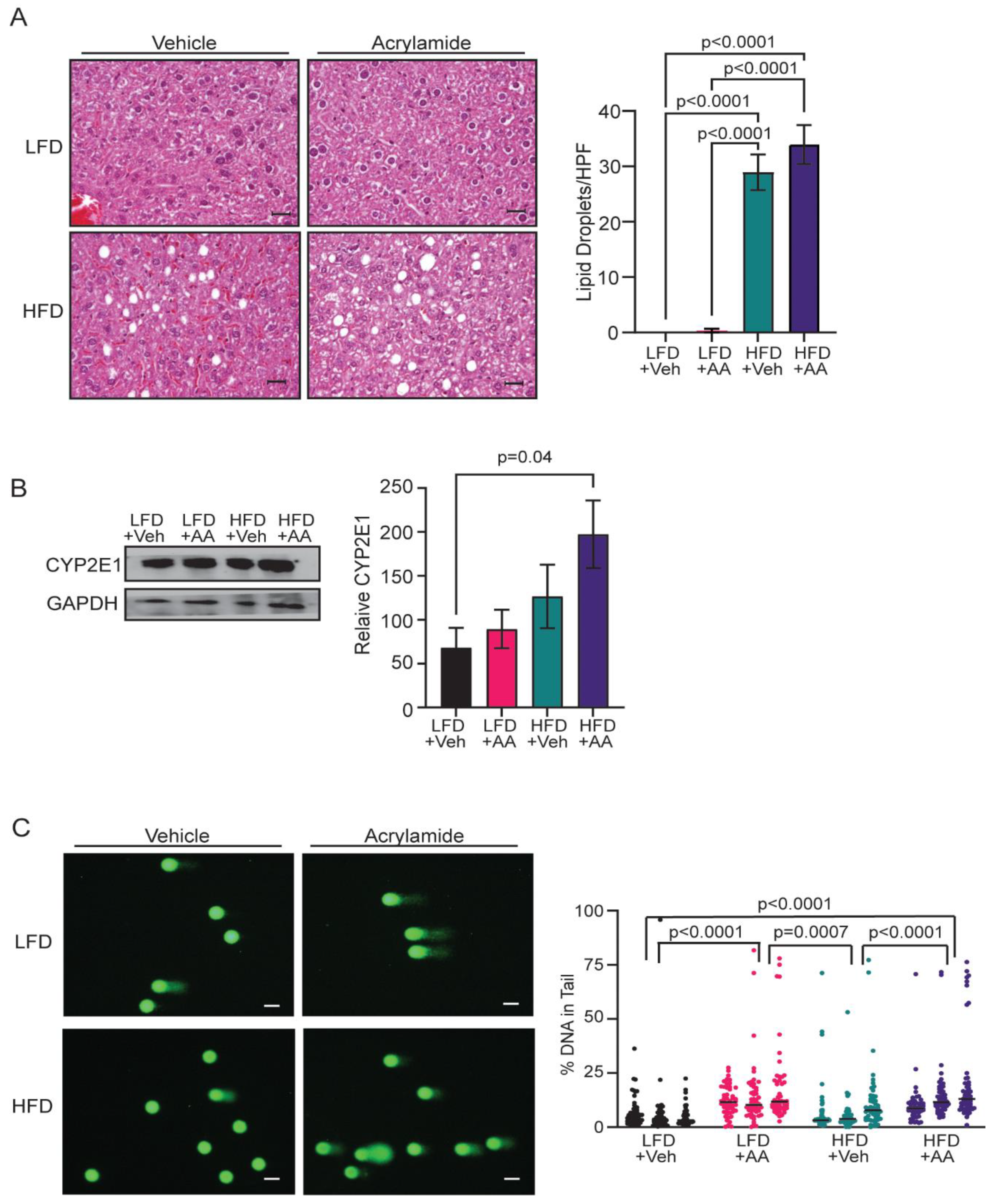 Preprints 107853 g002