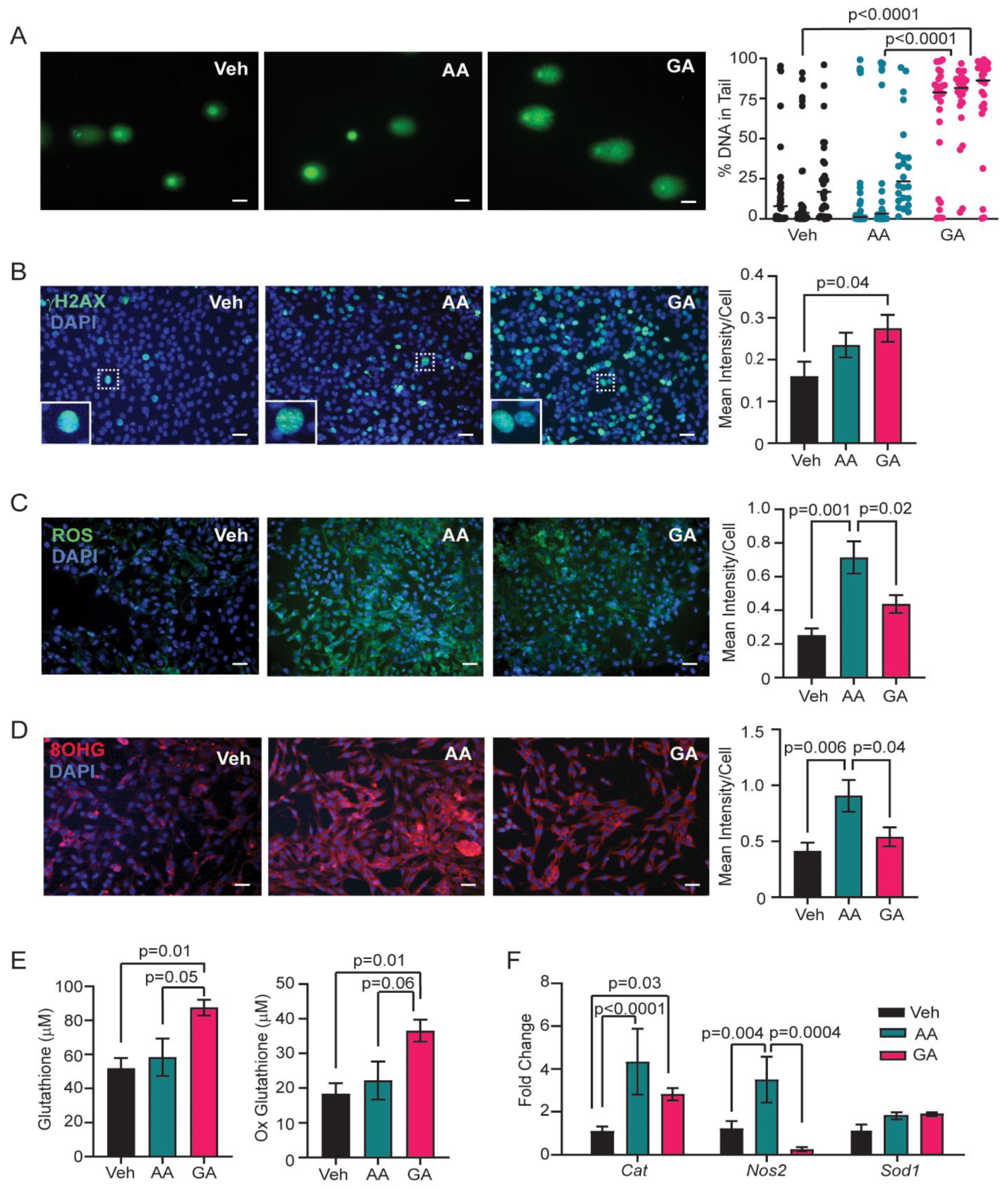 Preprints 107853 g004