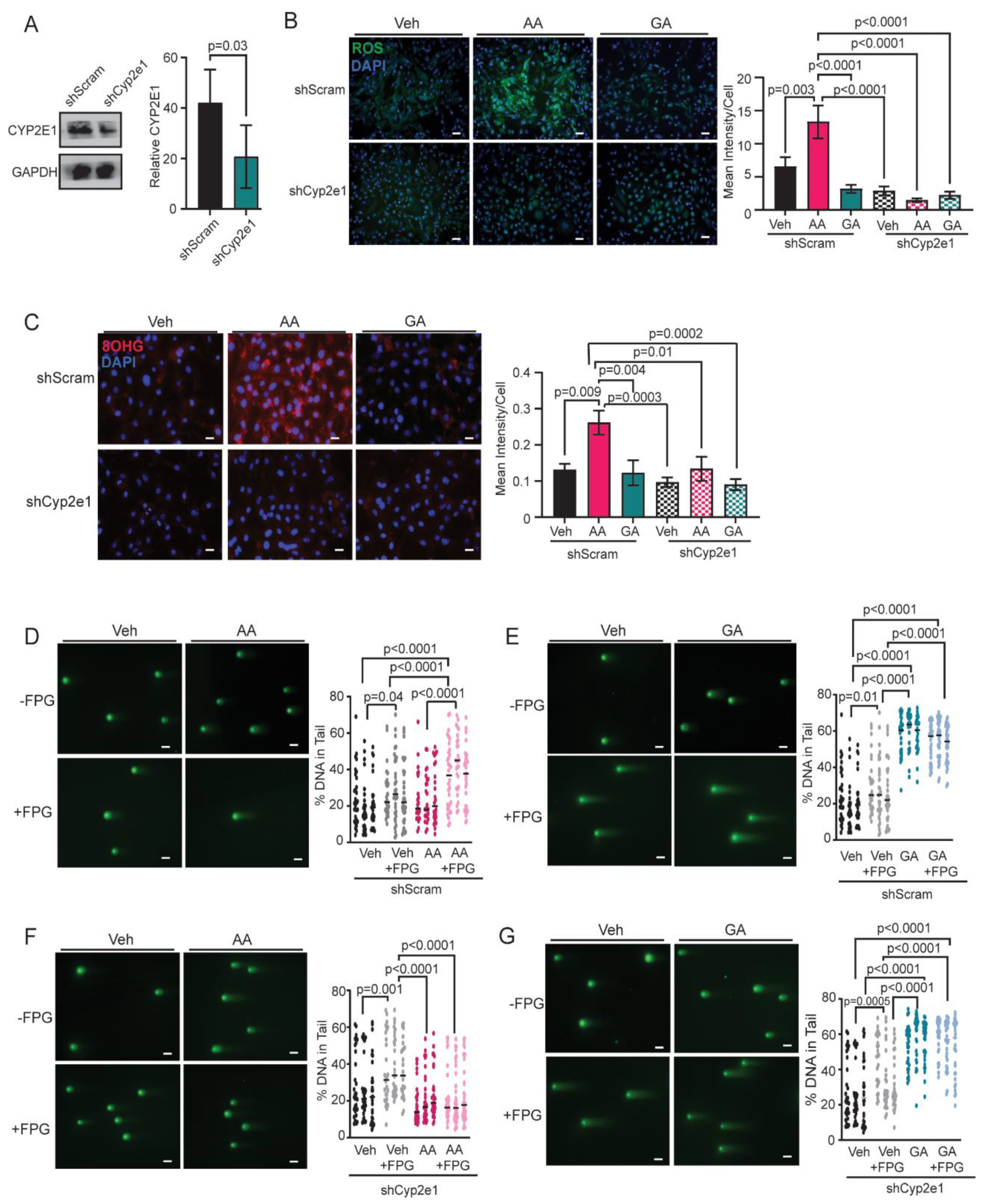 Preprints 107853 g005