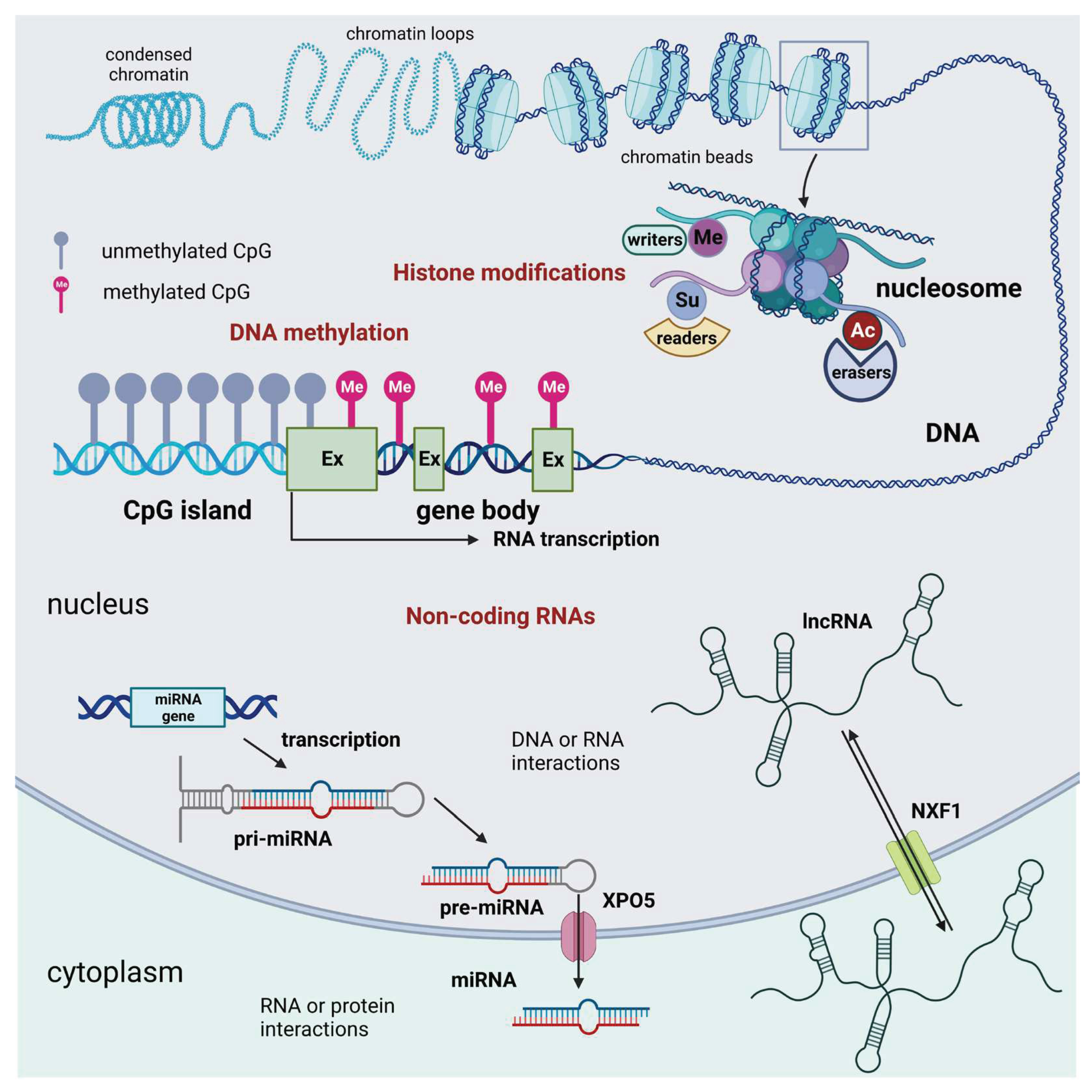 Preprints 91083 g001