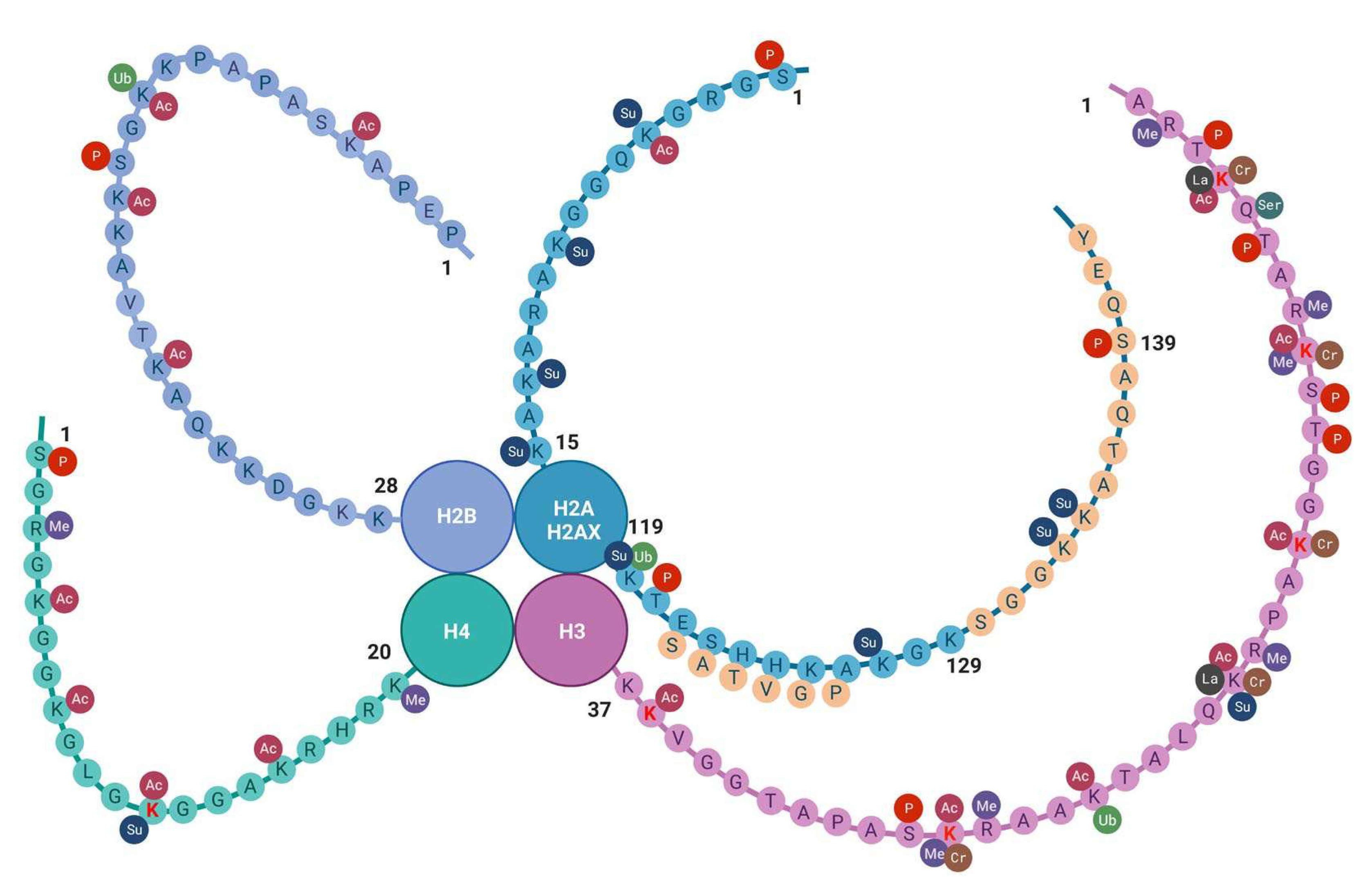 Preprints 91083 g002