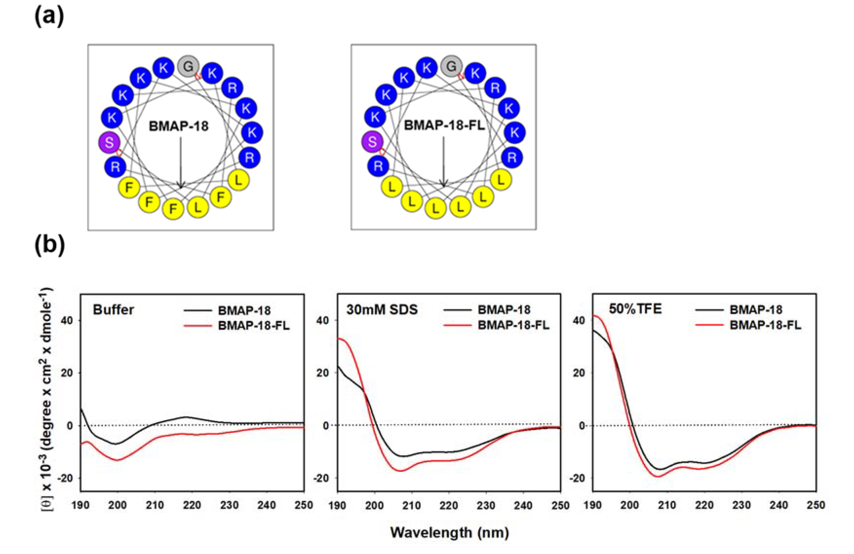 Preprints 81100 g001