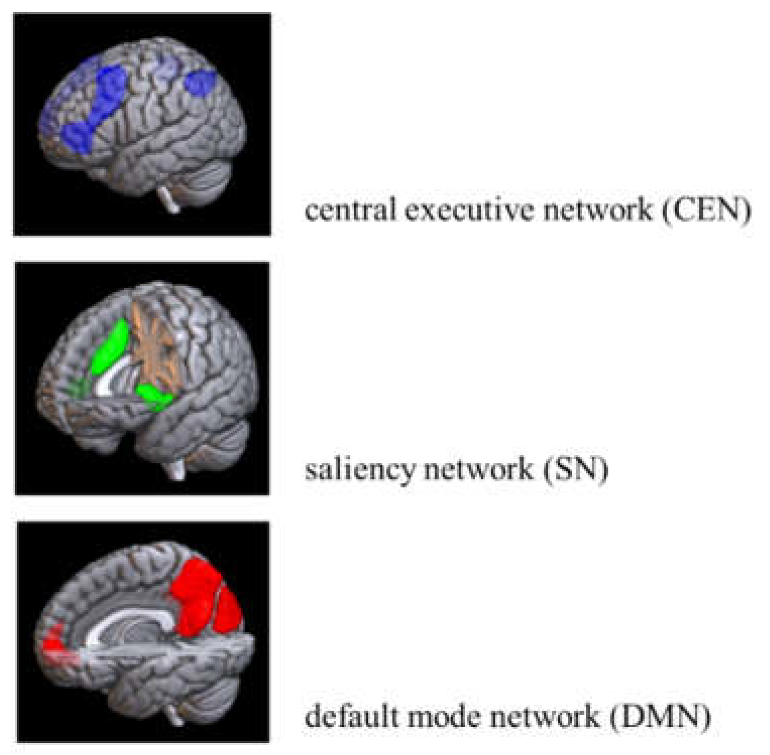 Preprints 119213 g001