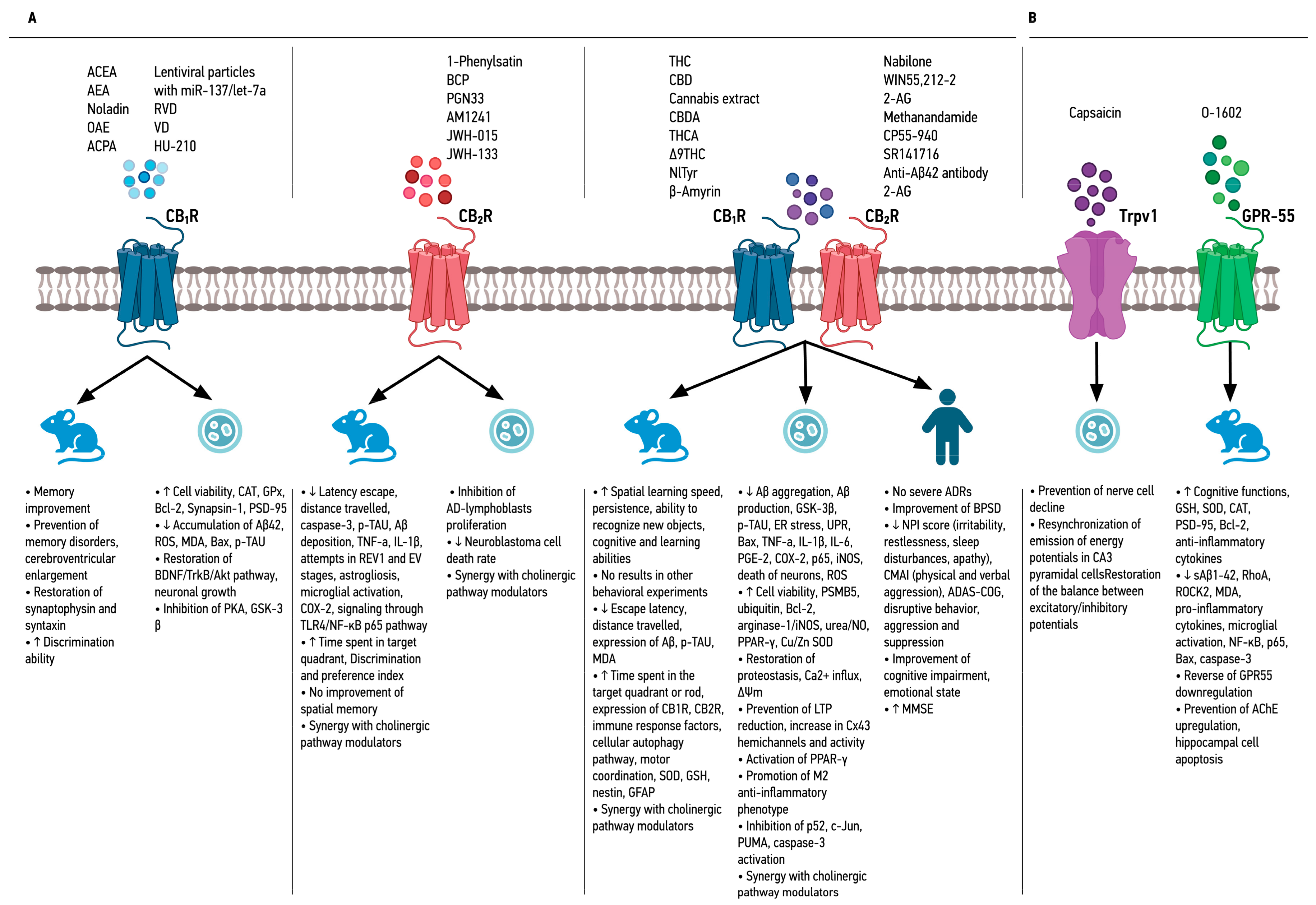 Preprints 107024 g001