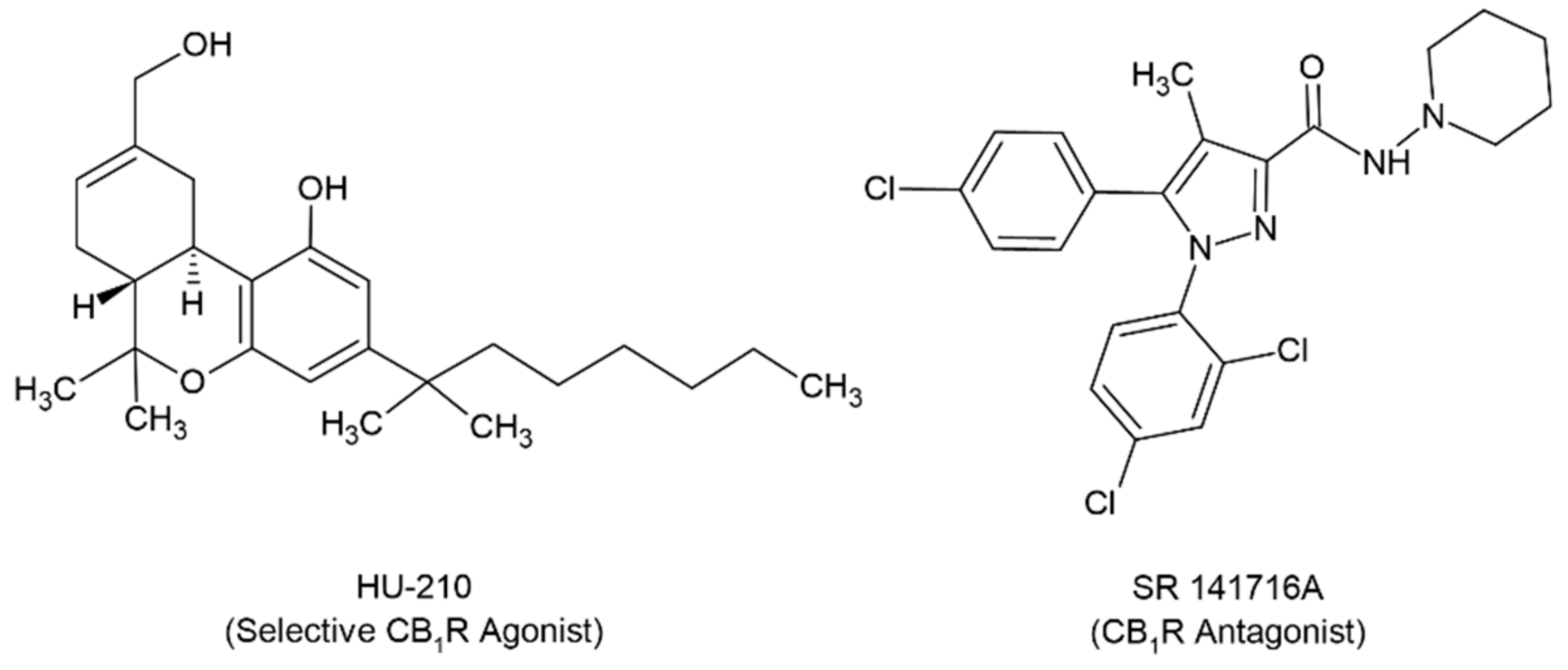 Preprints 107024 sch001