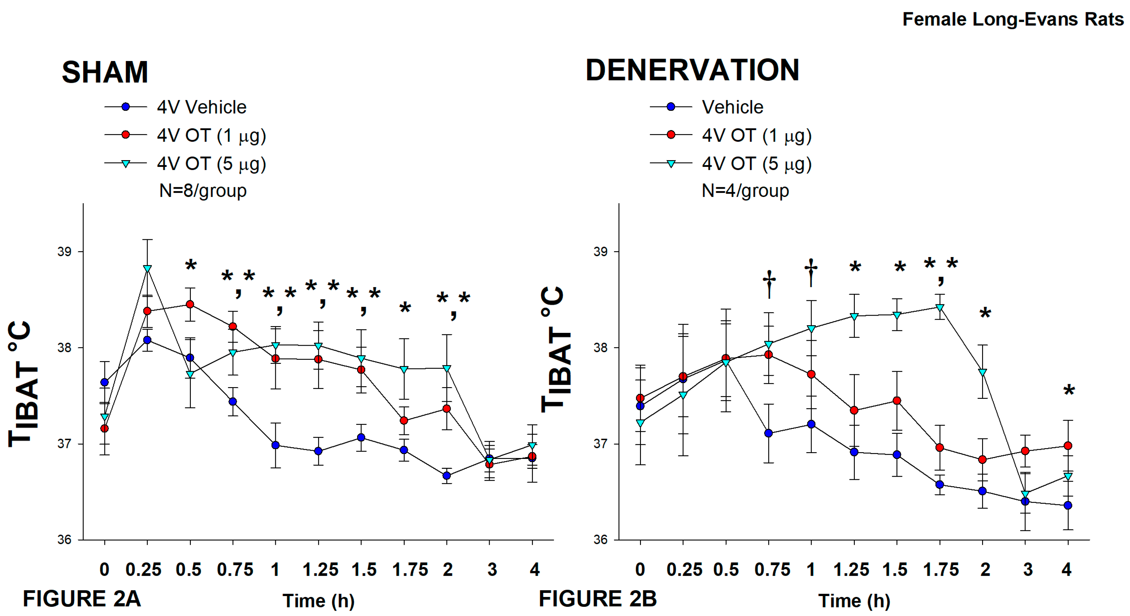 Preprints 120885 g002