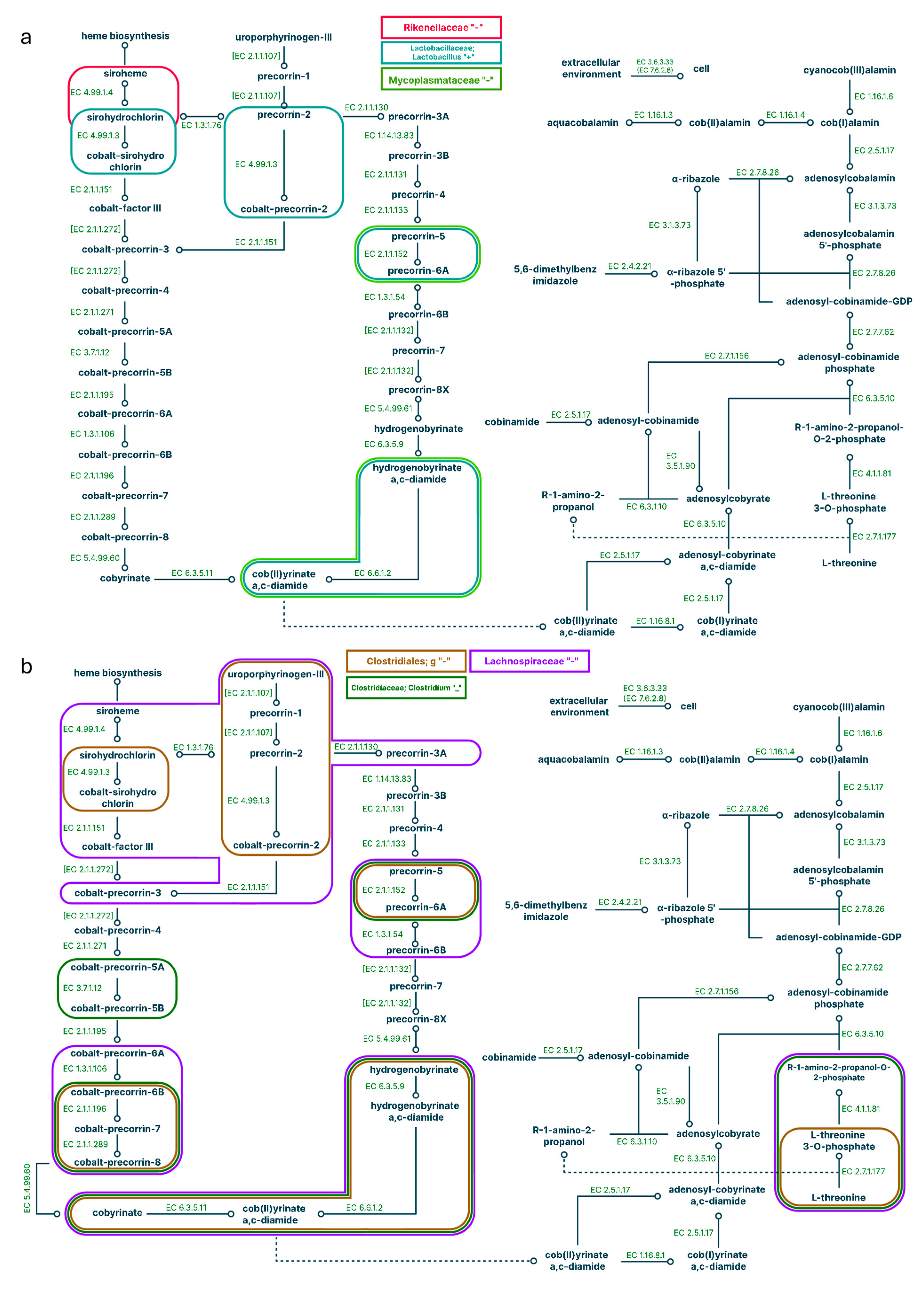 Preprints 116062 g003a