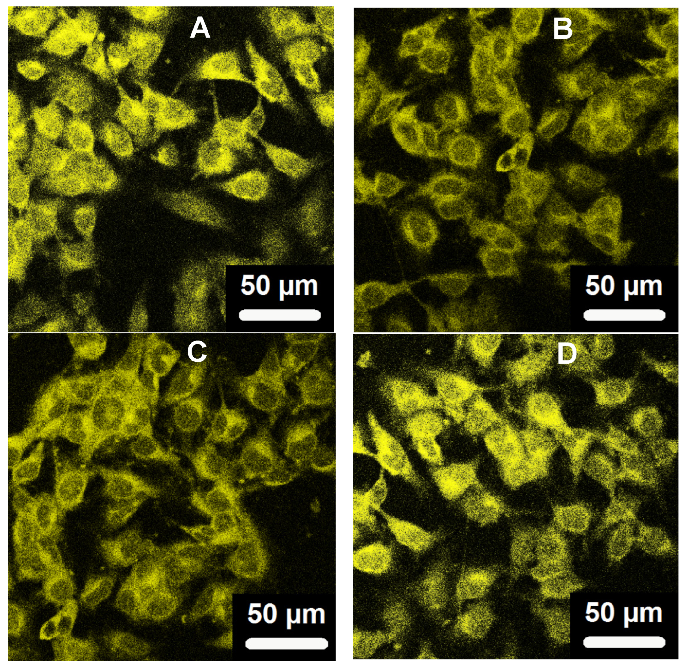 Preprints 83524 g008