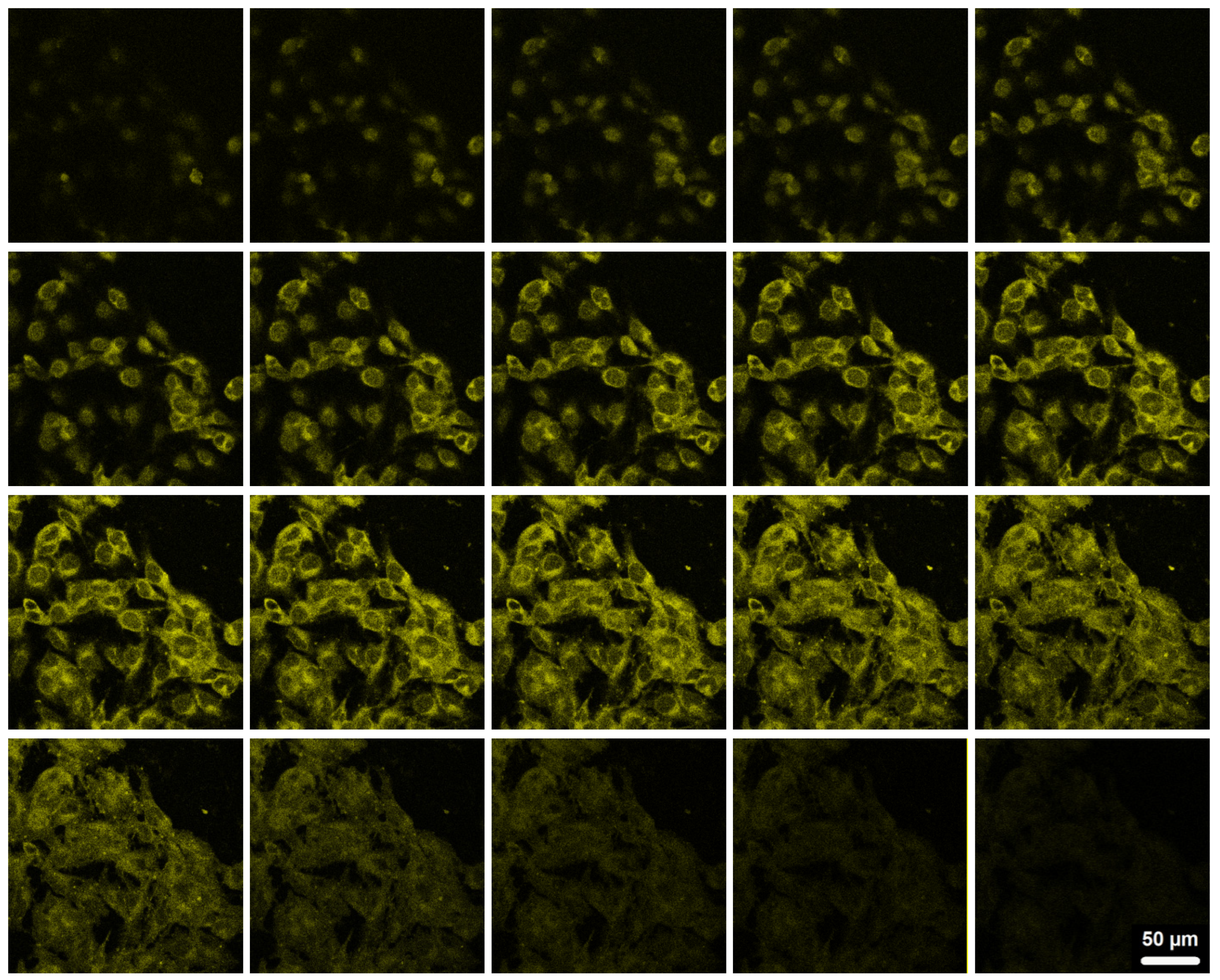 Preprints 83524 g009