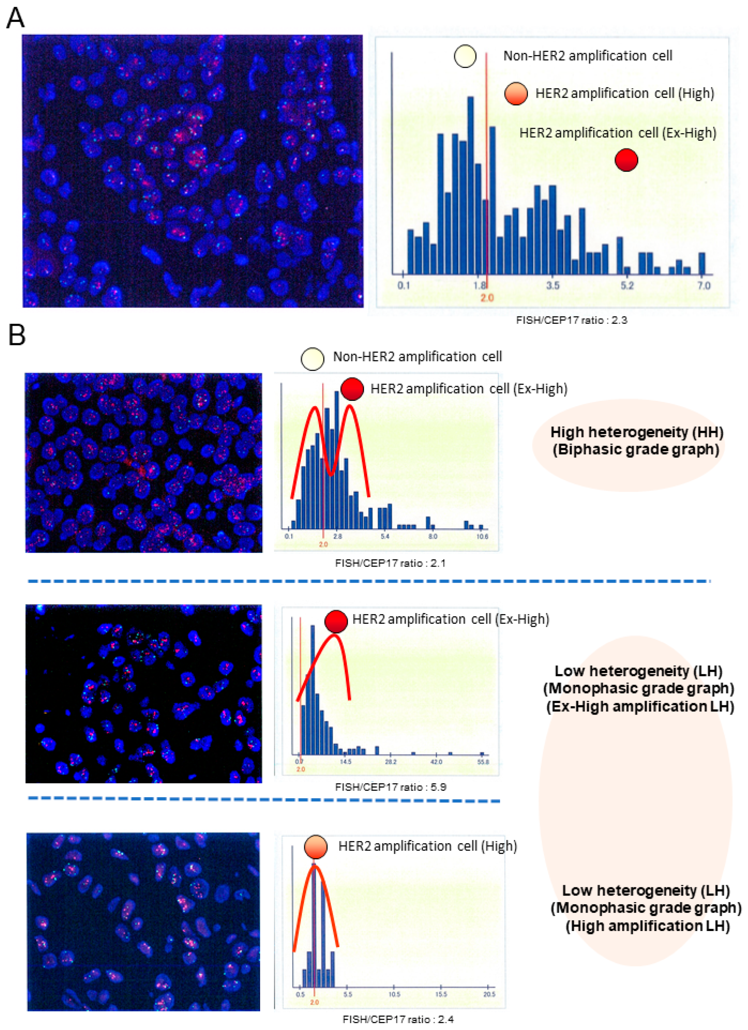 Preprints 99358 g001