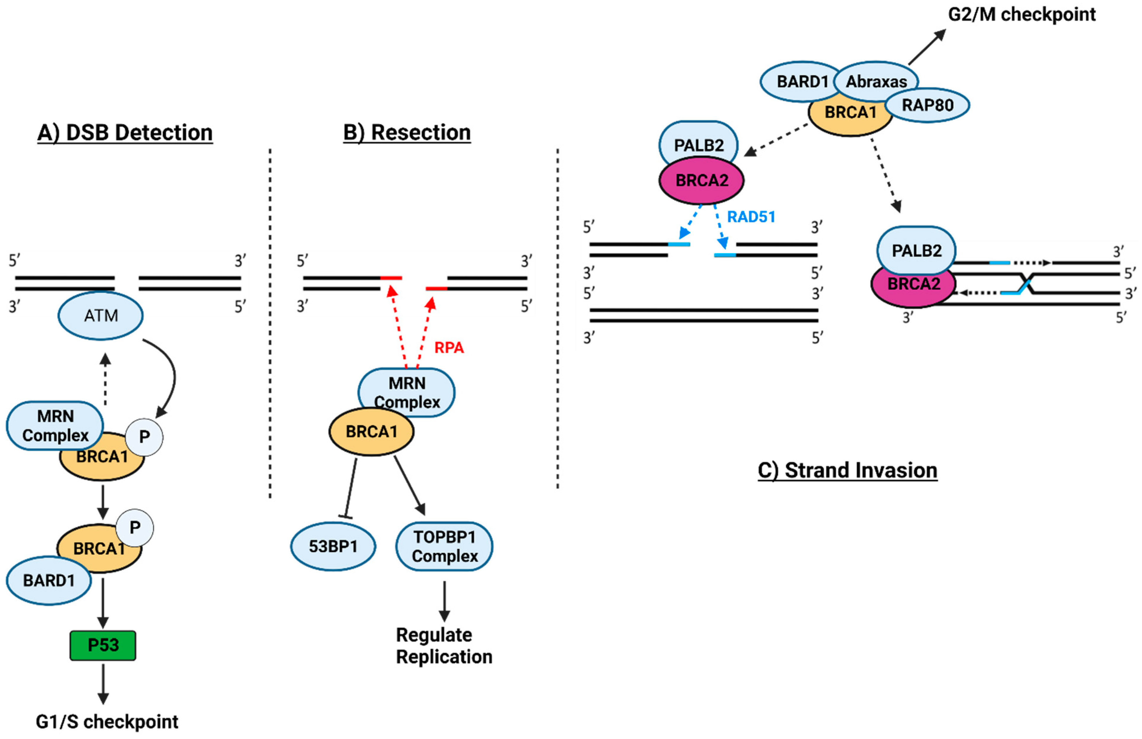 Preprints 94720 g003