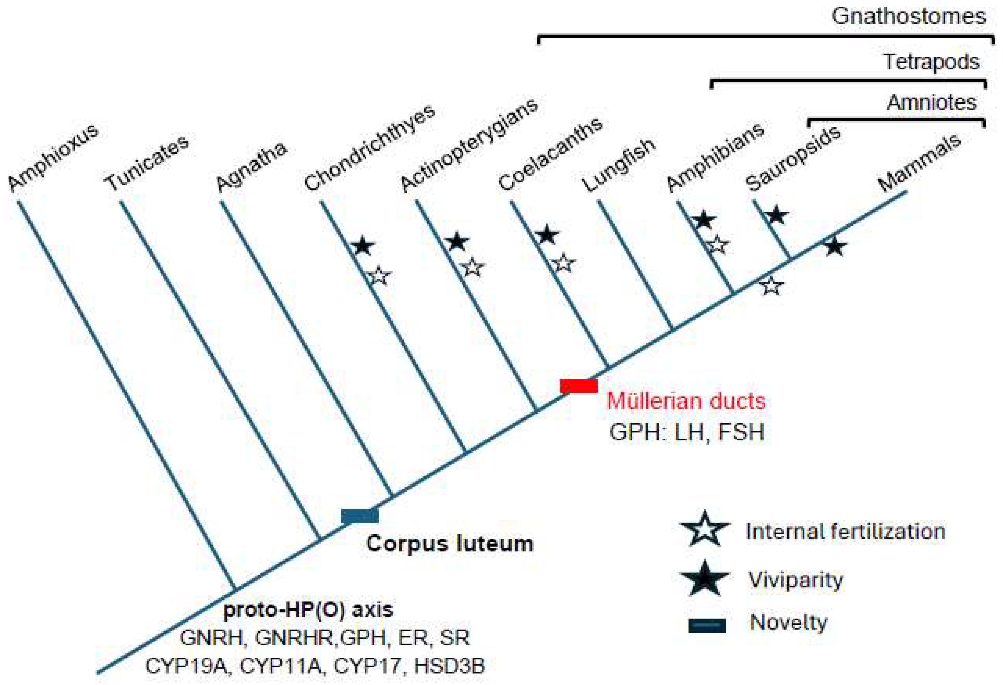 Preprints 137715 g001