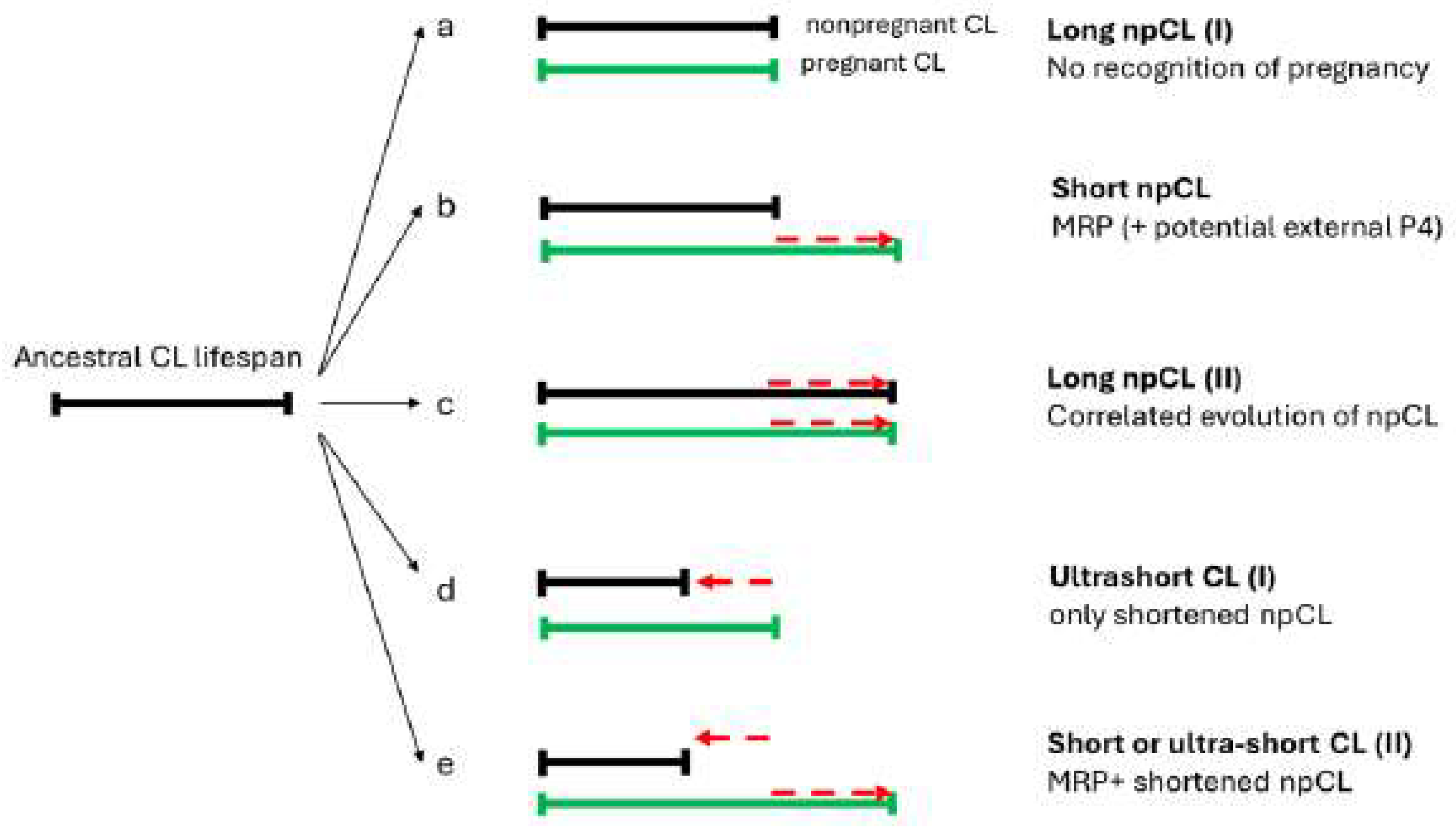 Preprints 137715 g002