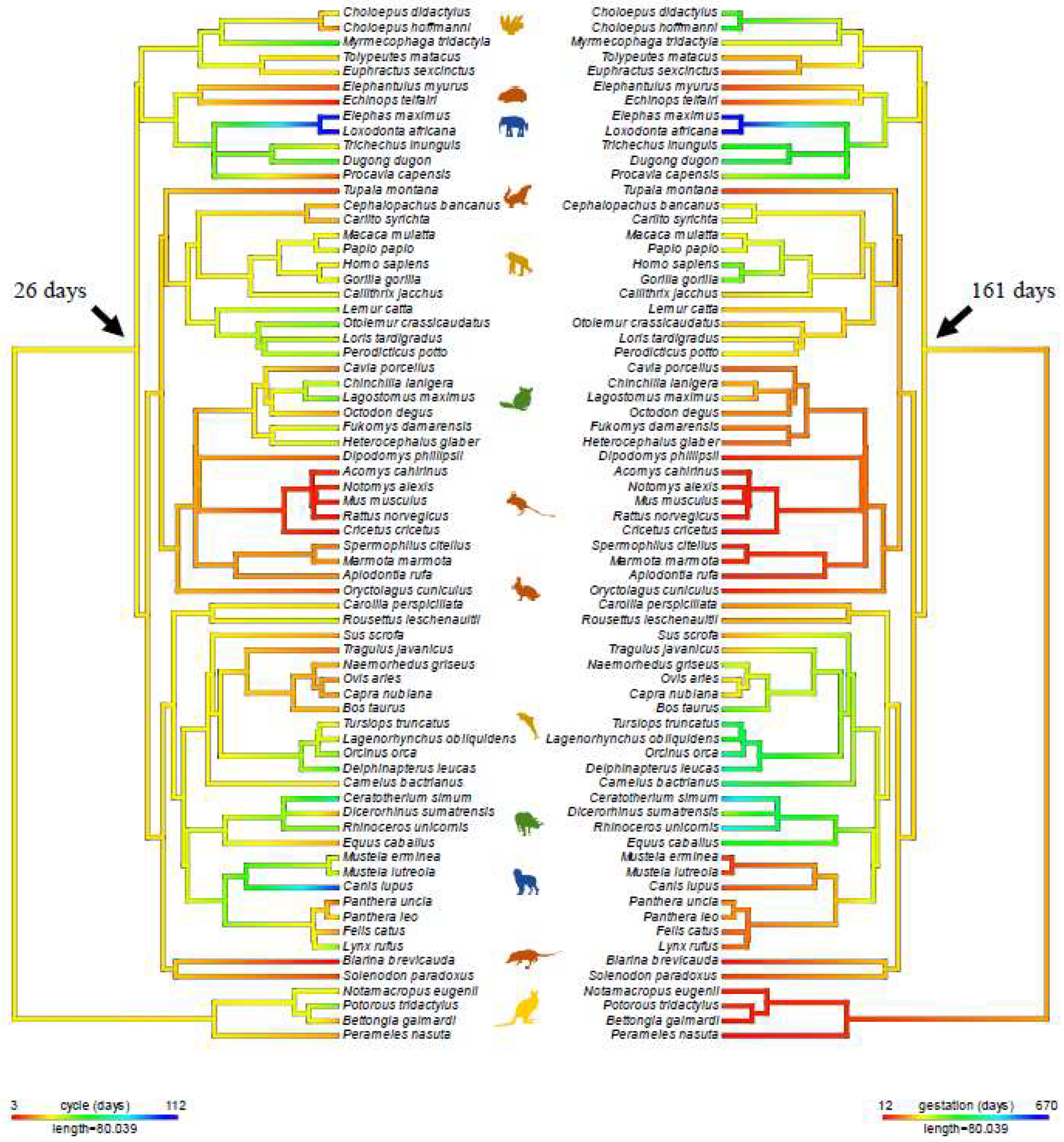 Preprints 137715 g006