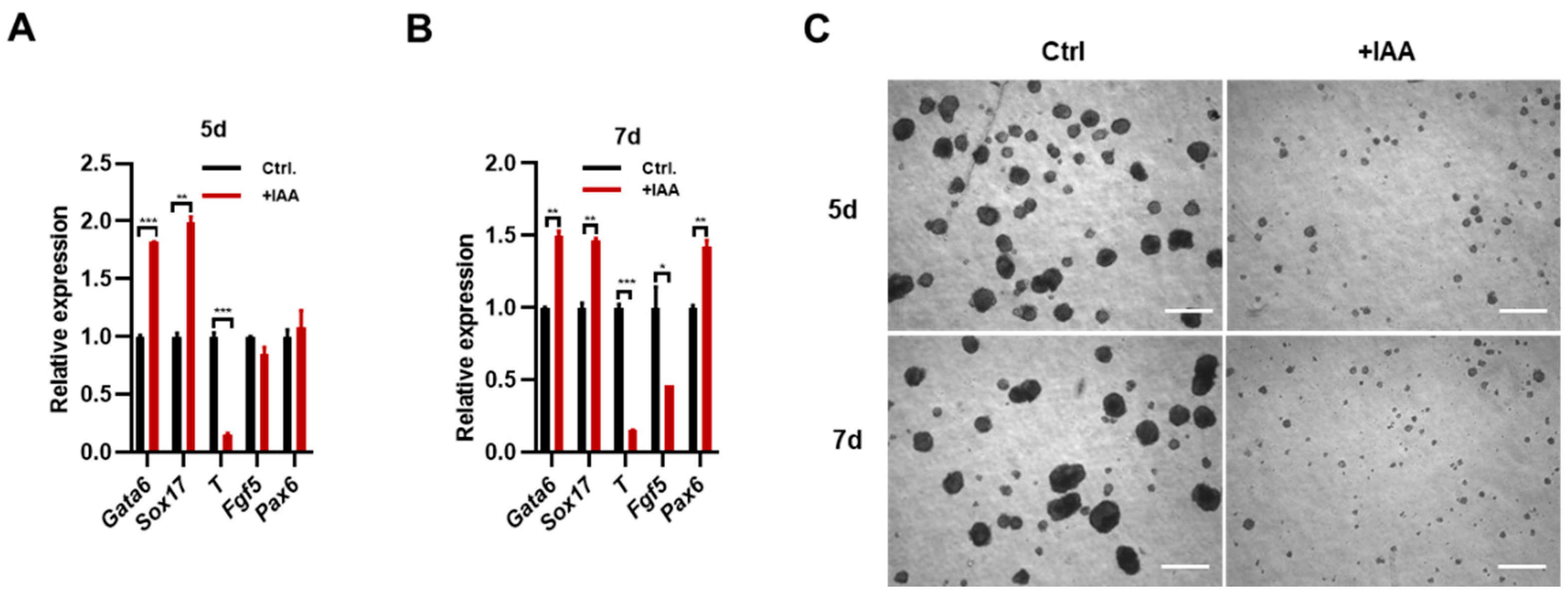 Preprints 78857 g003