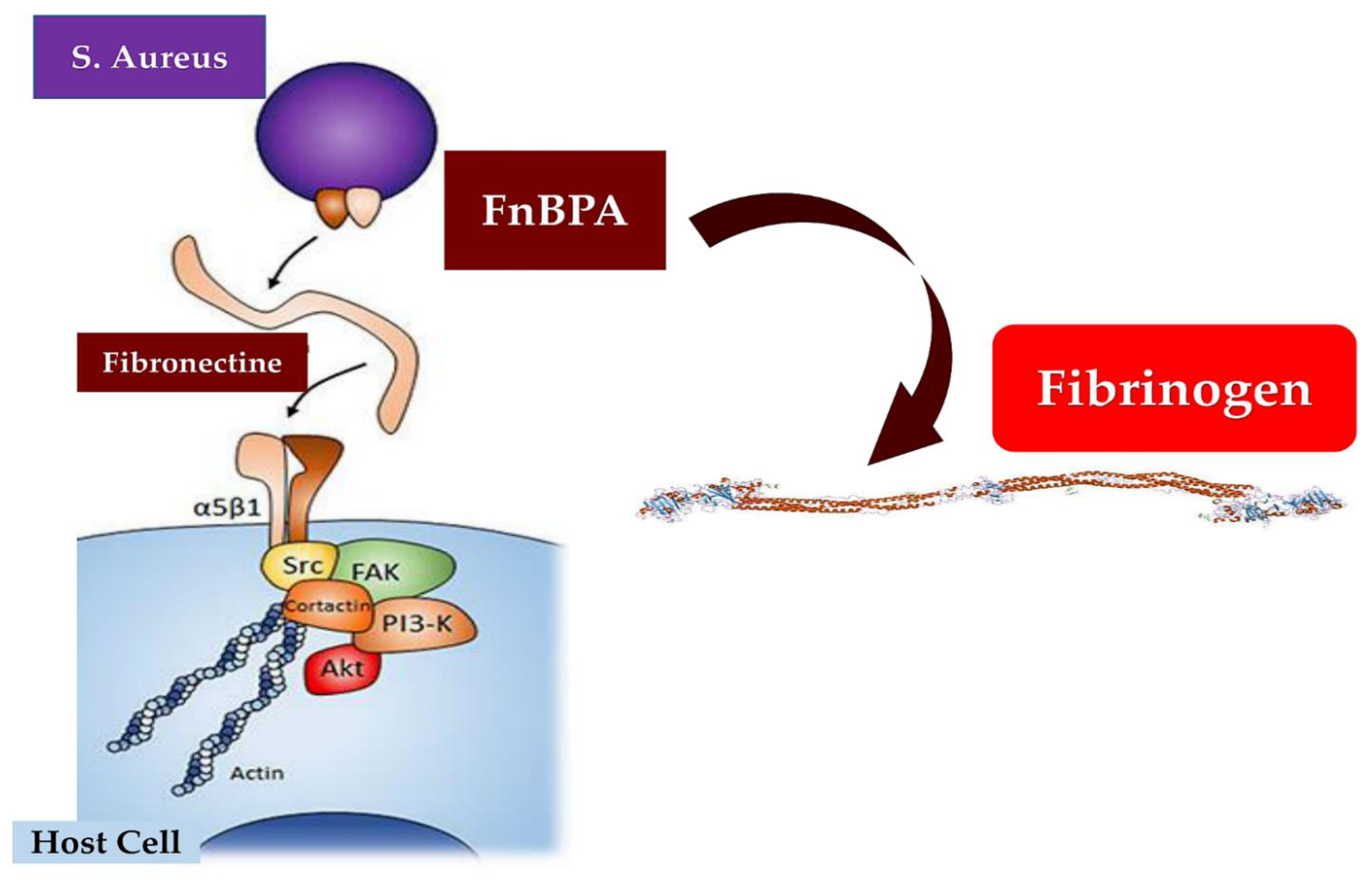 Preprints 71954 g005