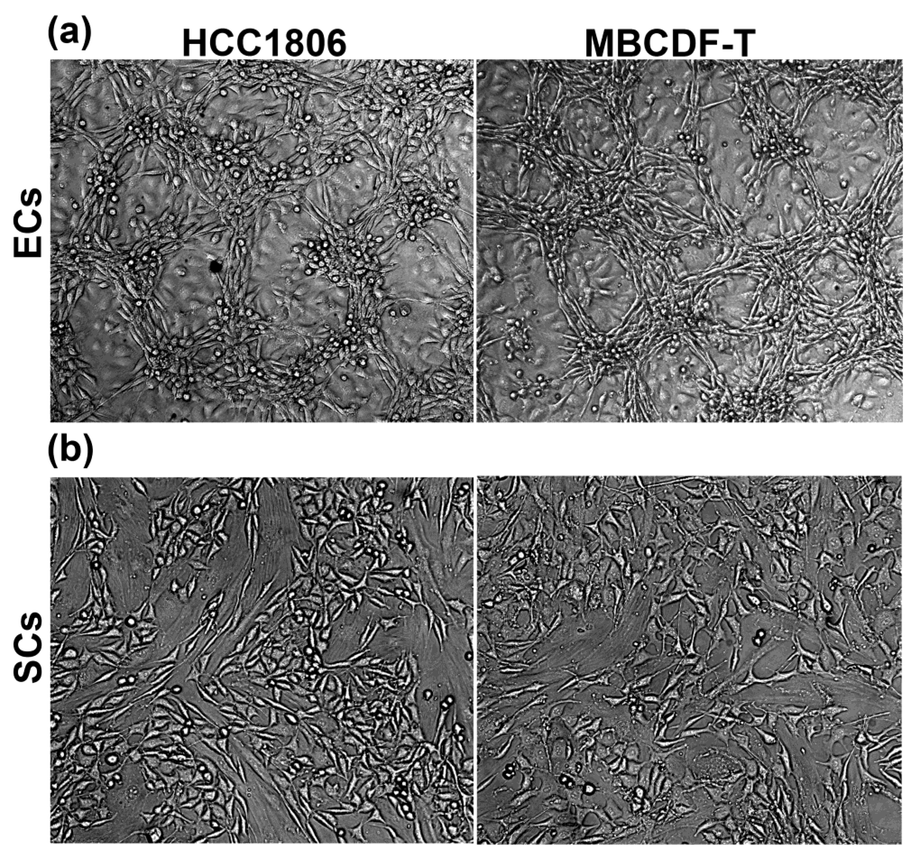 Preprints 79750 g001