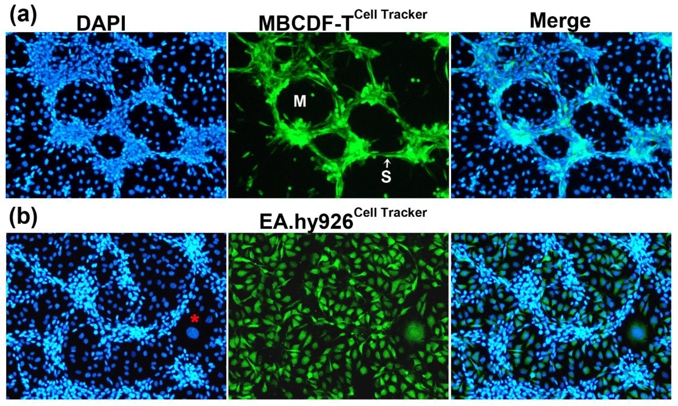 Preprints 79750 g002