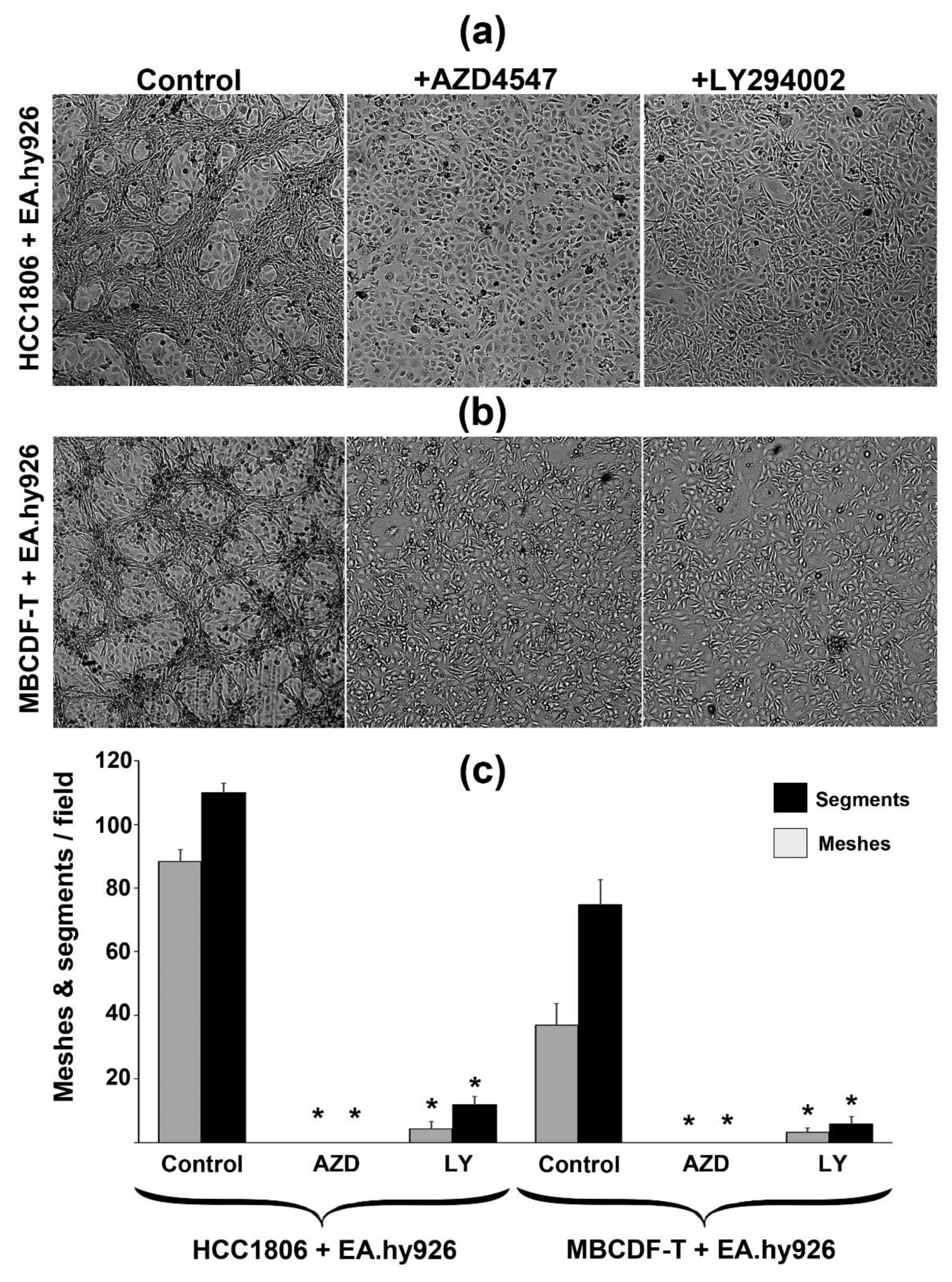 Preprints 79750 g008