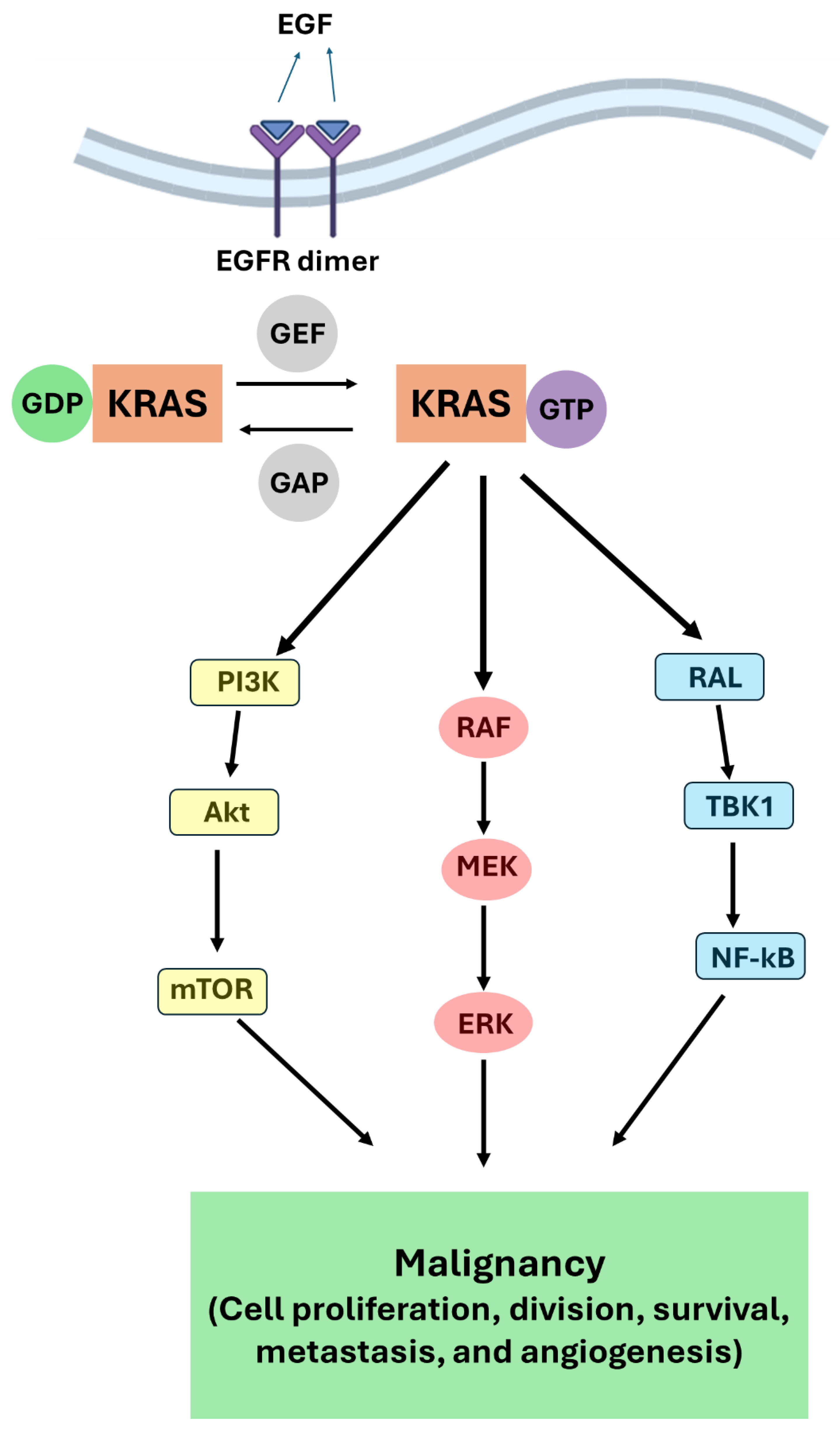 Preprints 100178 g001