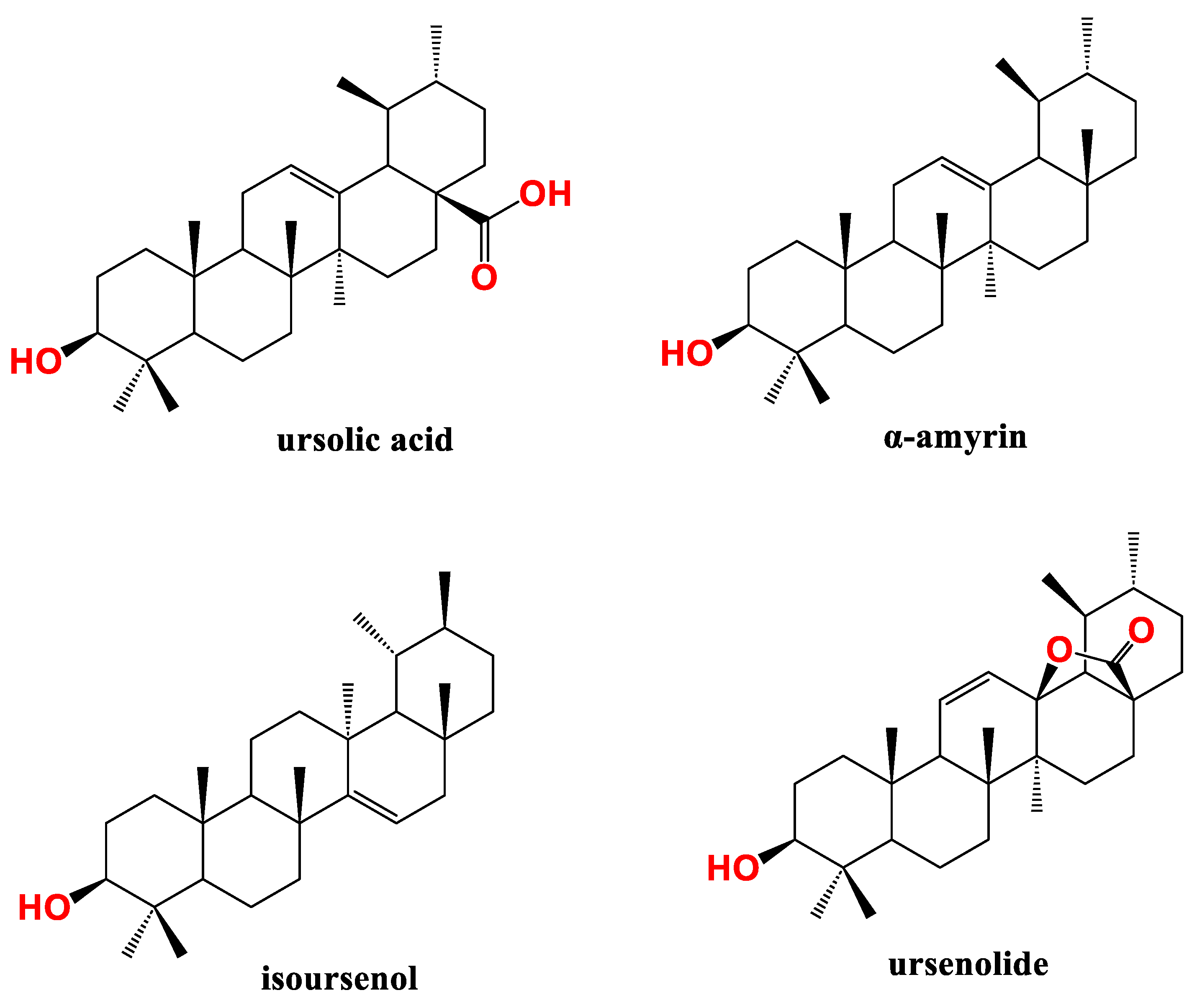 Preprints 100178 g003