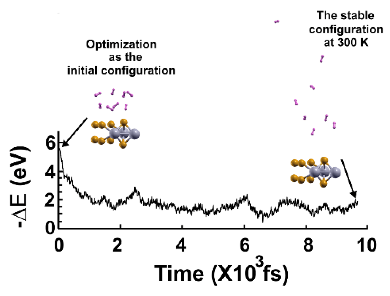 Preprints 119511 g010